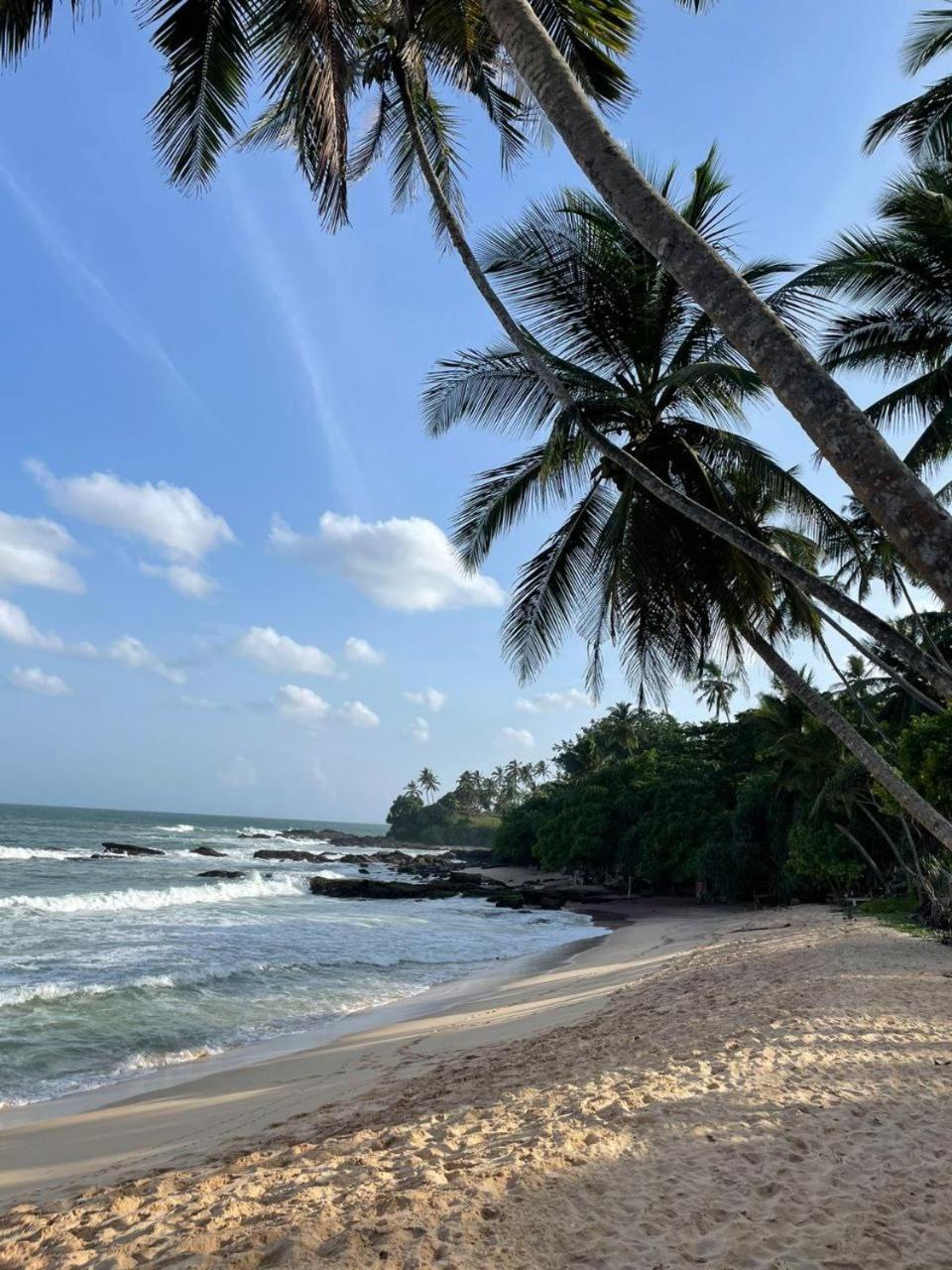Zodiak