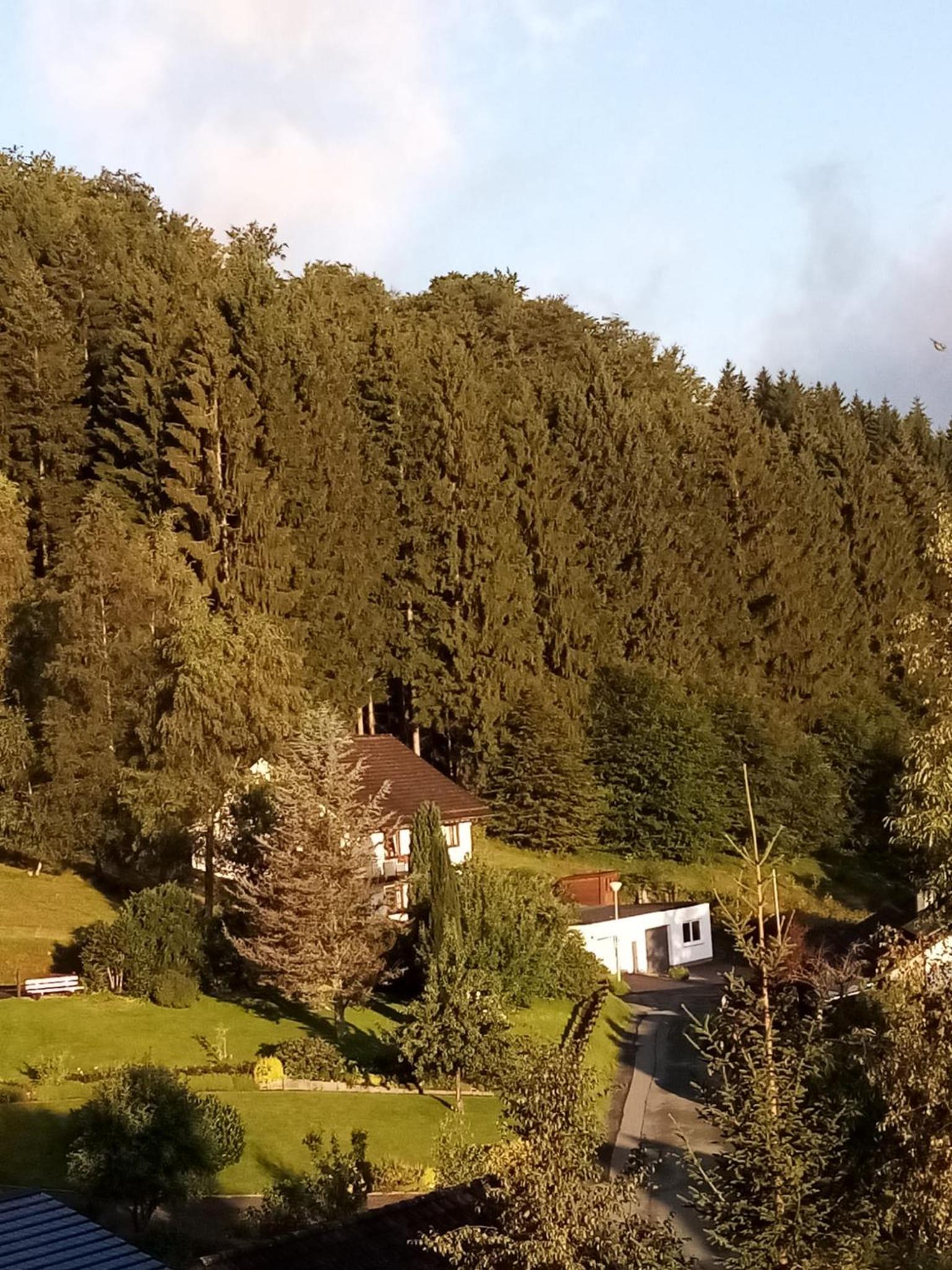 Photo 22