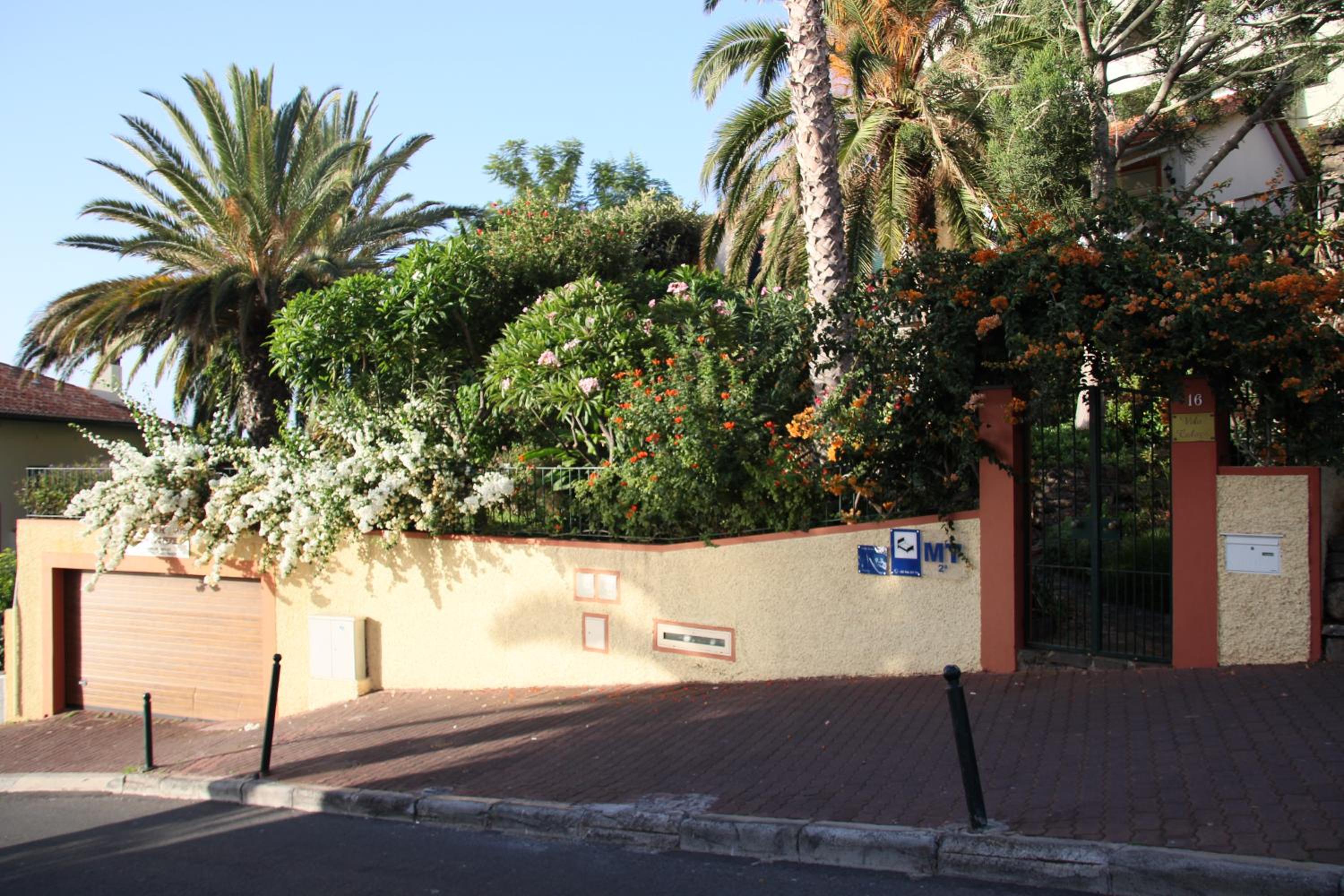 Photo 21