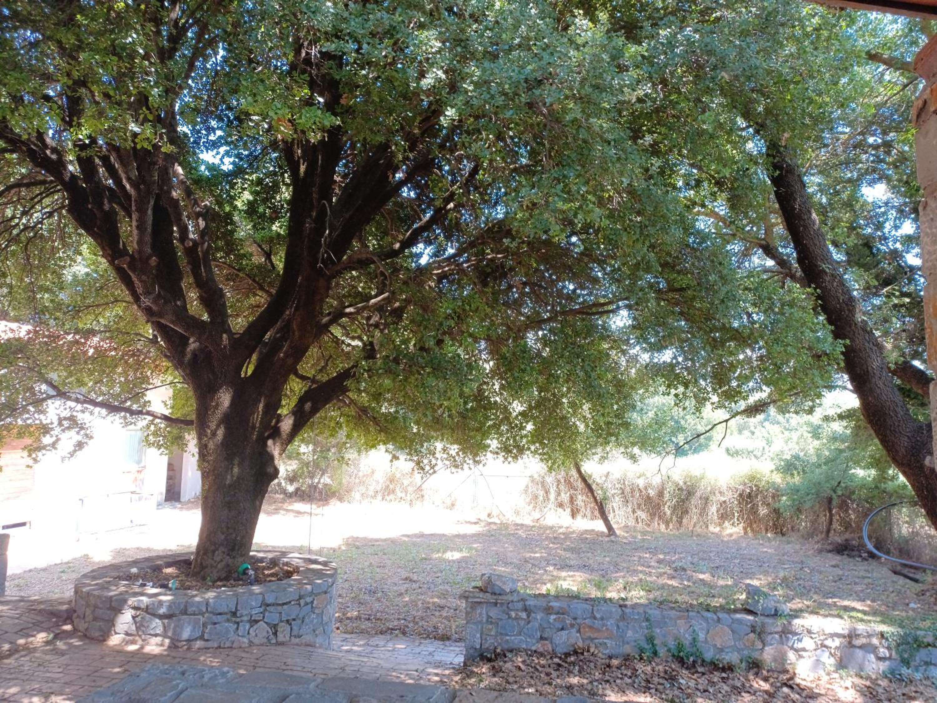 PRINOS GARDEN