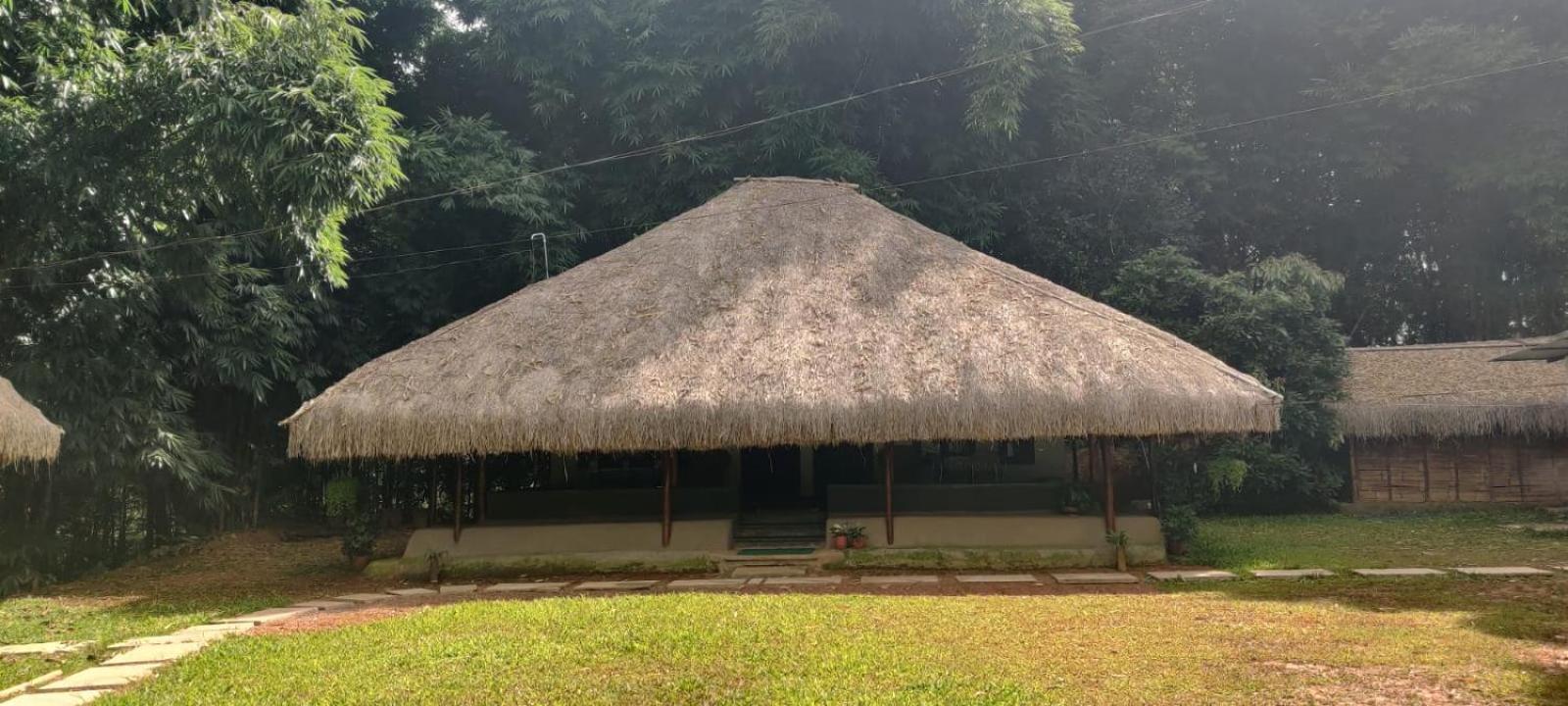 Bamboo Grove view 4