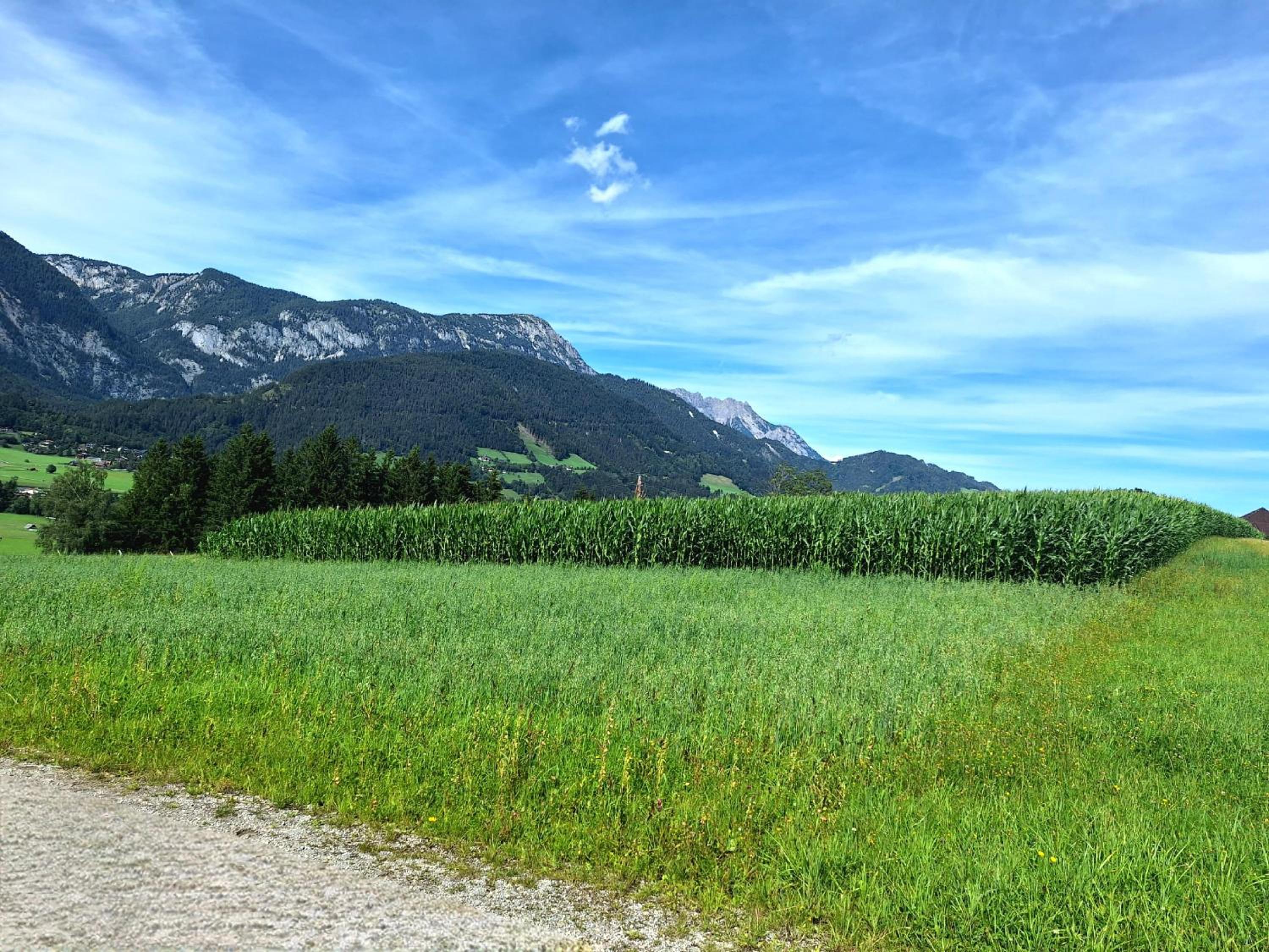 Appartementhaus zum Moserlhof