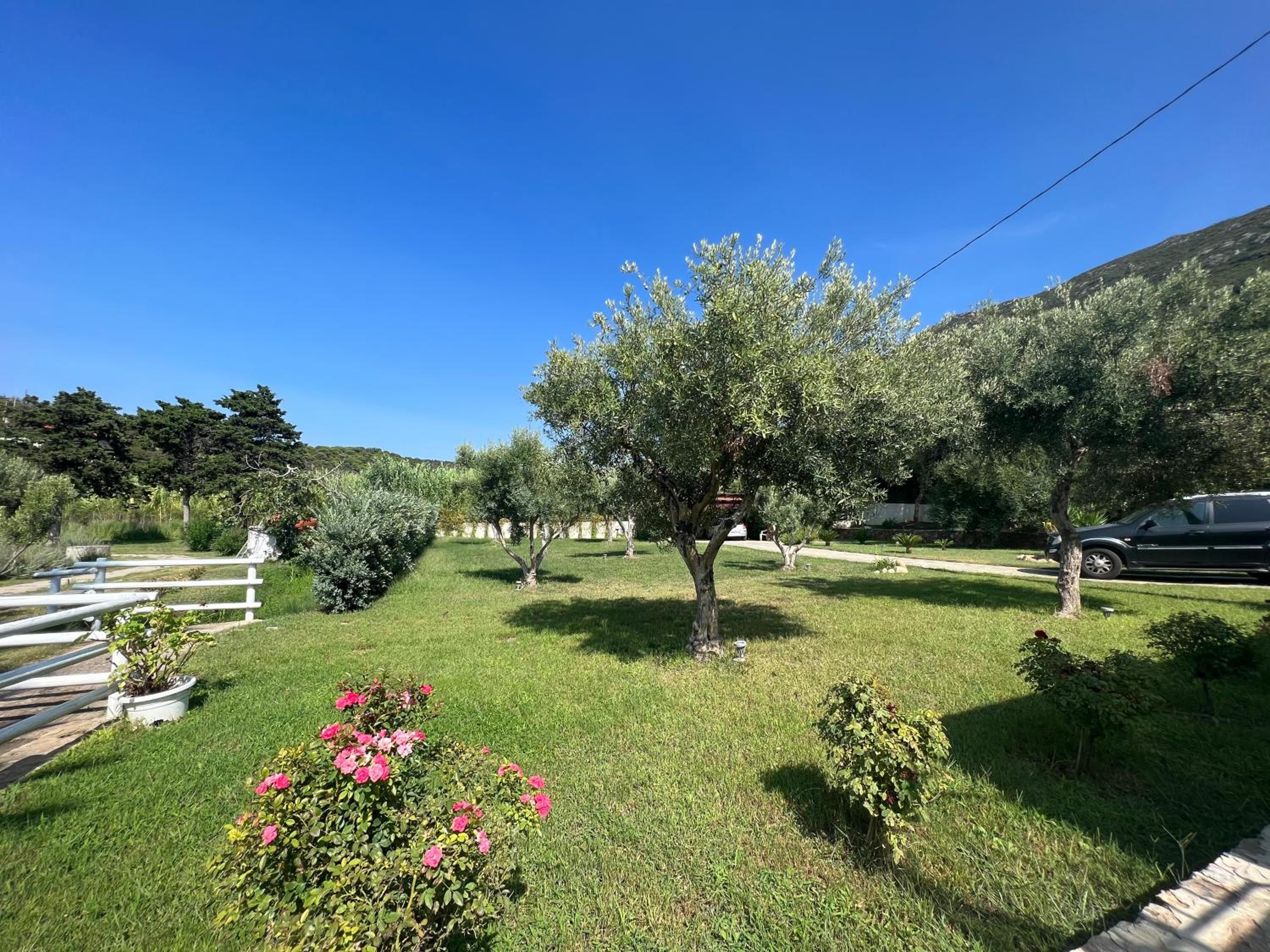 Villa Angelica