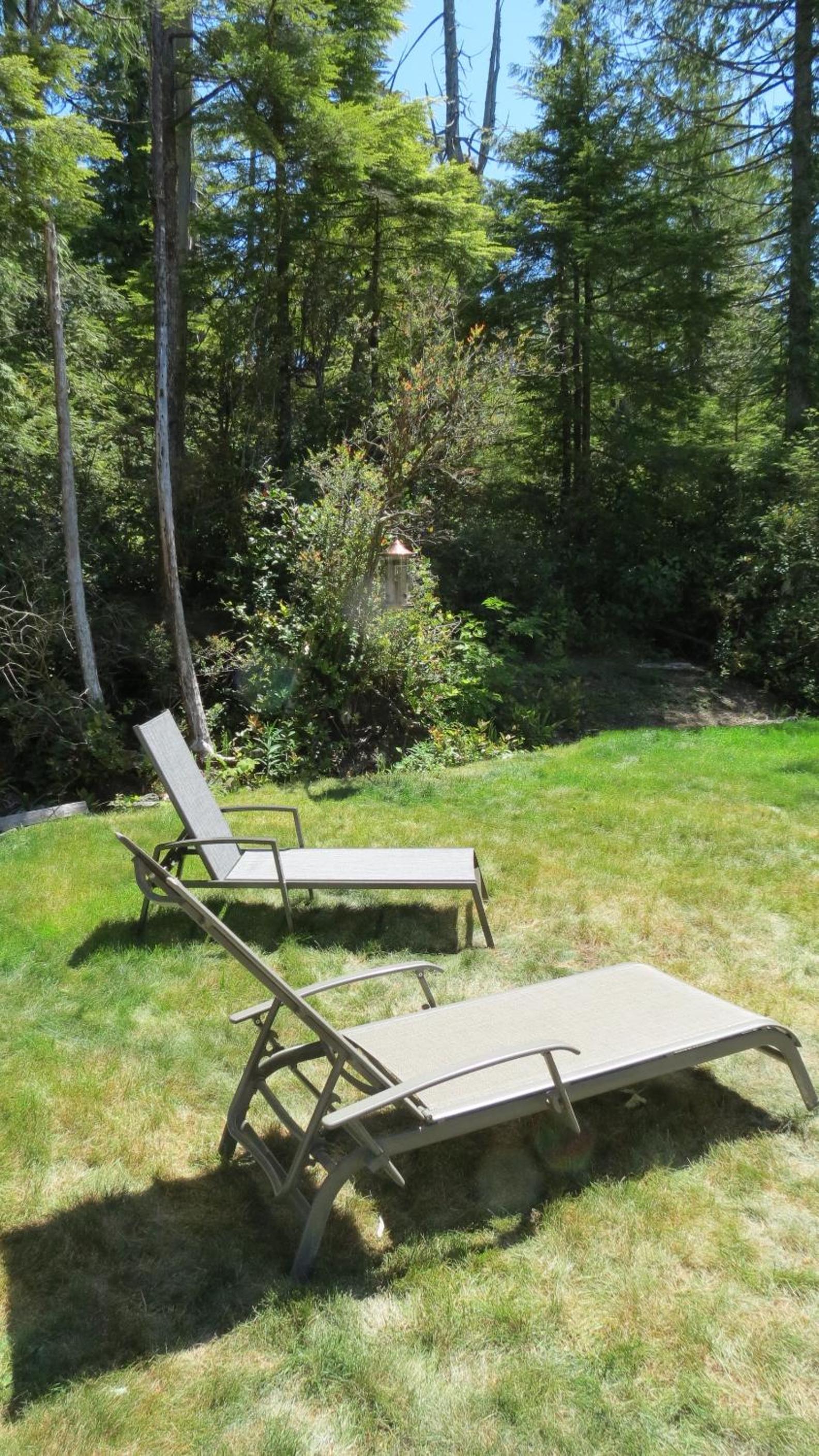 Tofino Vacations - Cobble Wood and Bird Sanctuary Guest Houses - Property Image 49