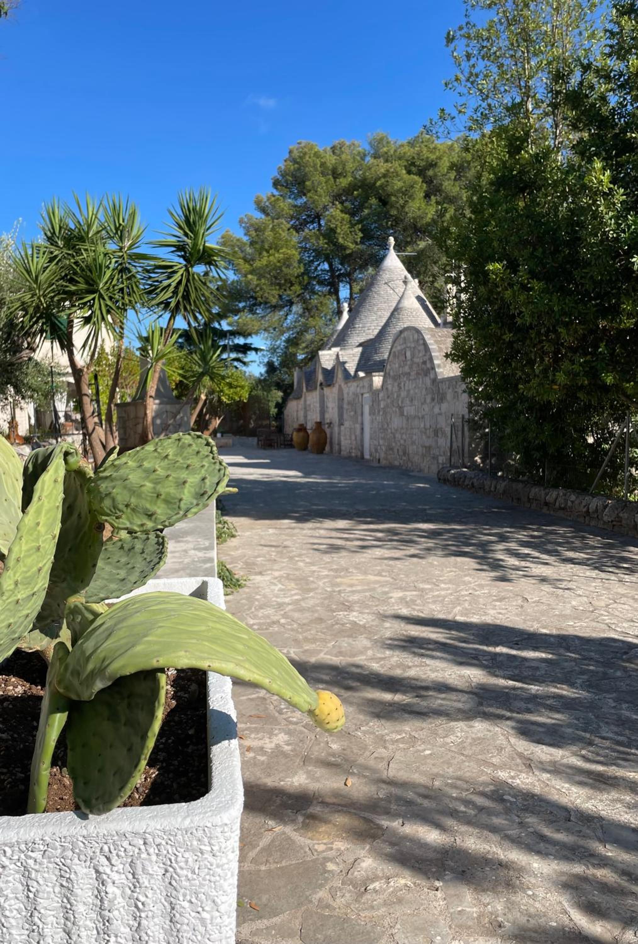 Trullo Ronzicchio