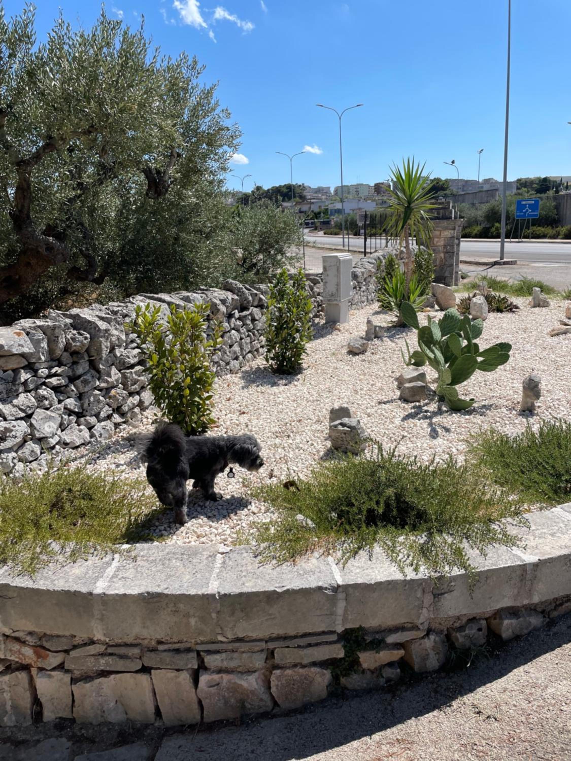 Trullo Ronzicchio