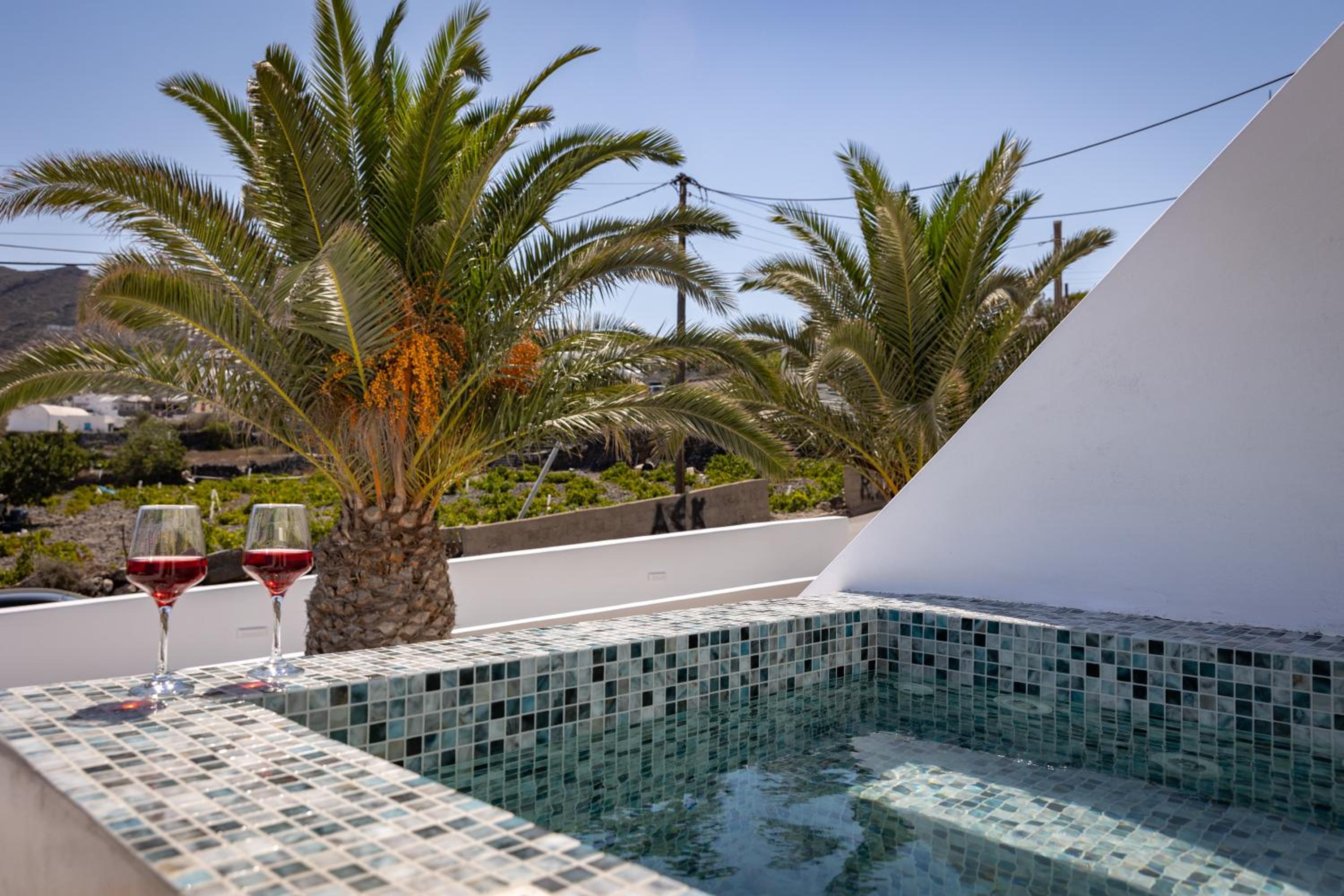Theophrasti Suites