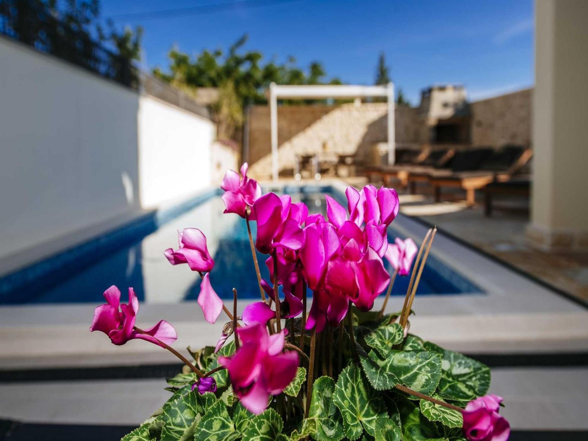 Dalmatian Villa Castello Coza with pool, Vinjerac view 5