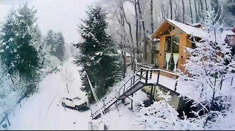 Horizonte Chapelco