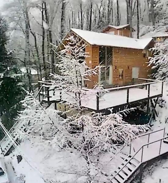 Horizonte Chapelco
