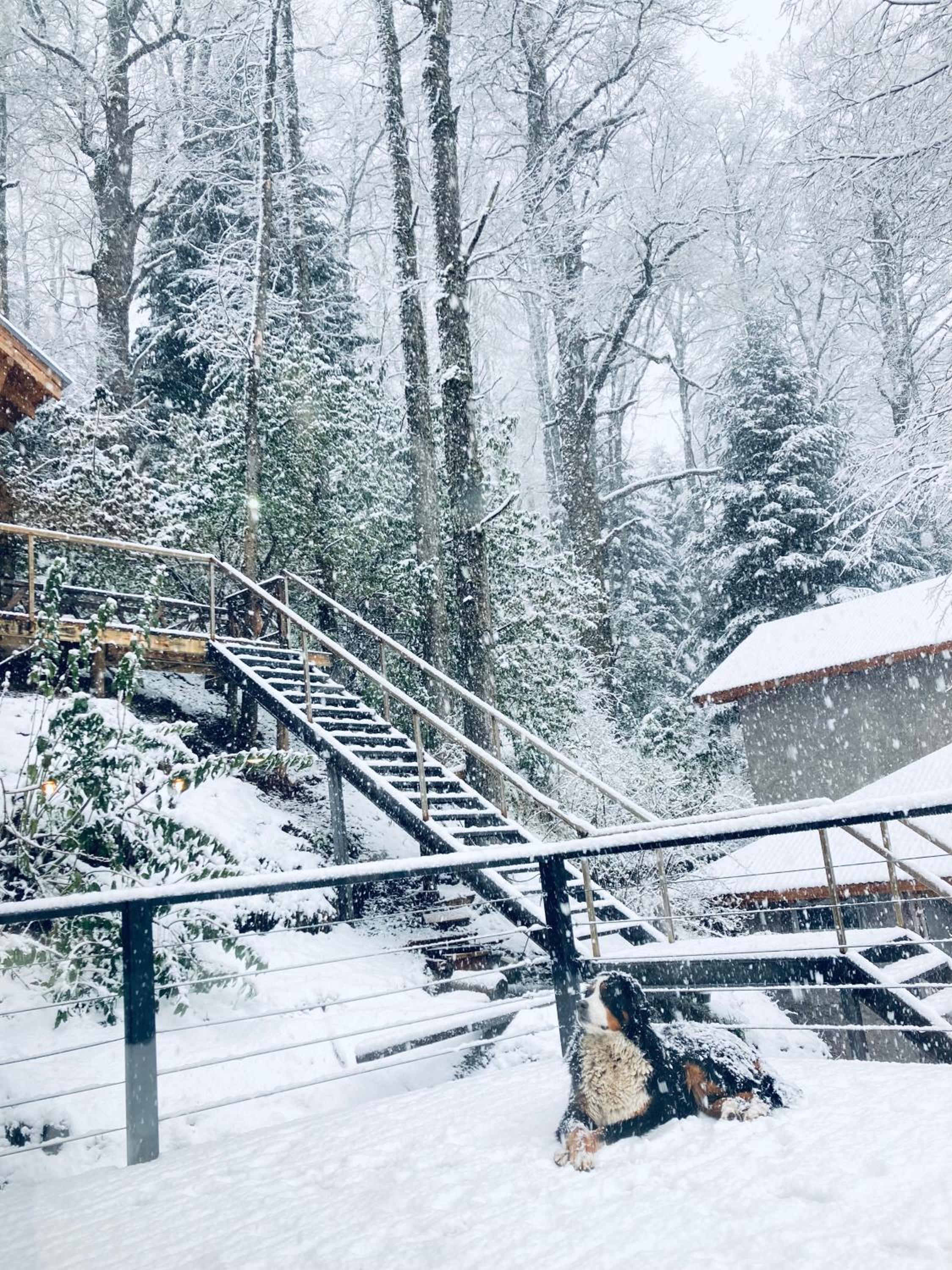 Horizonte Chapelco