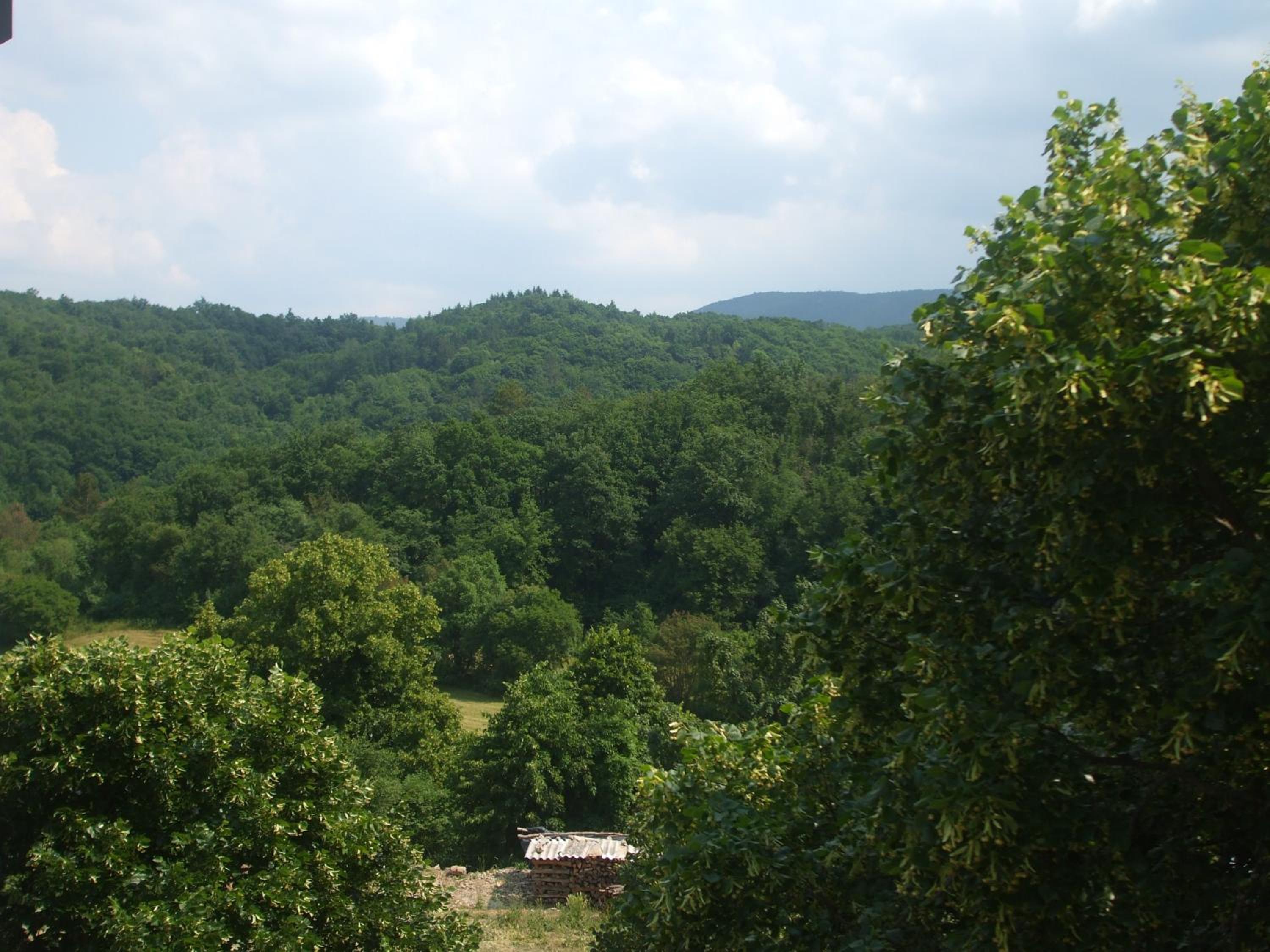 Osterija Na Planinci