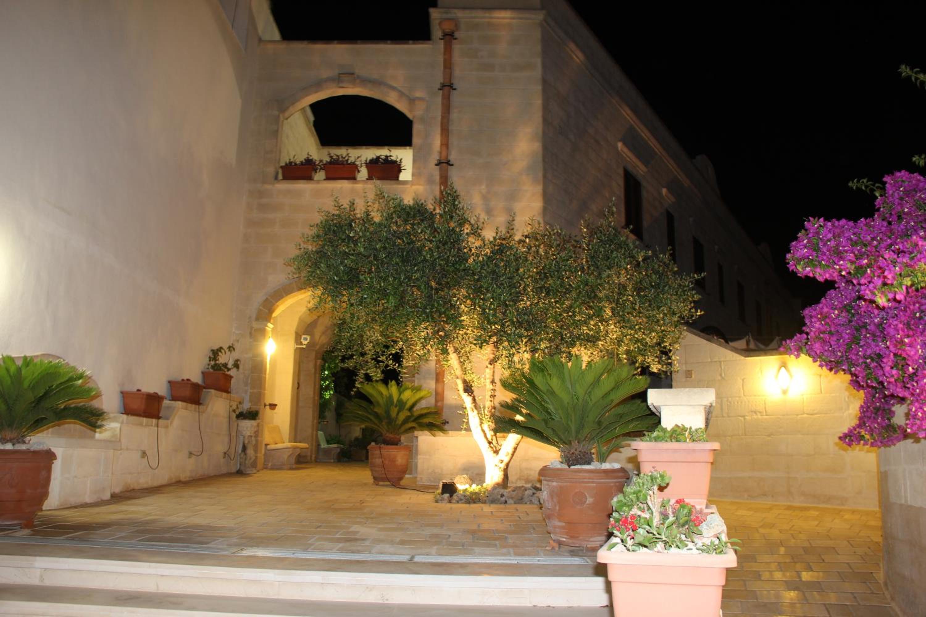 Photo 8