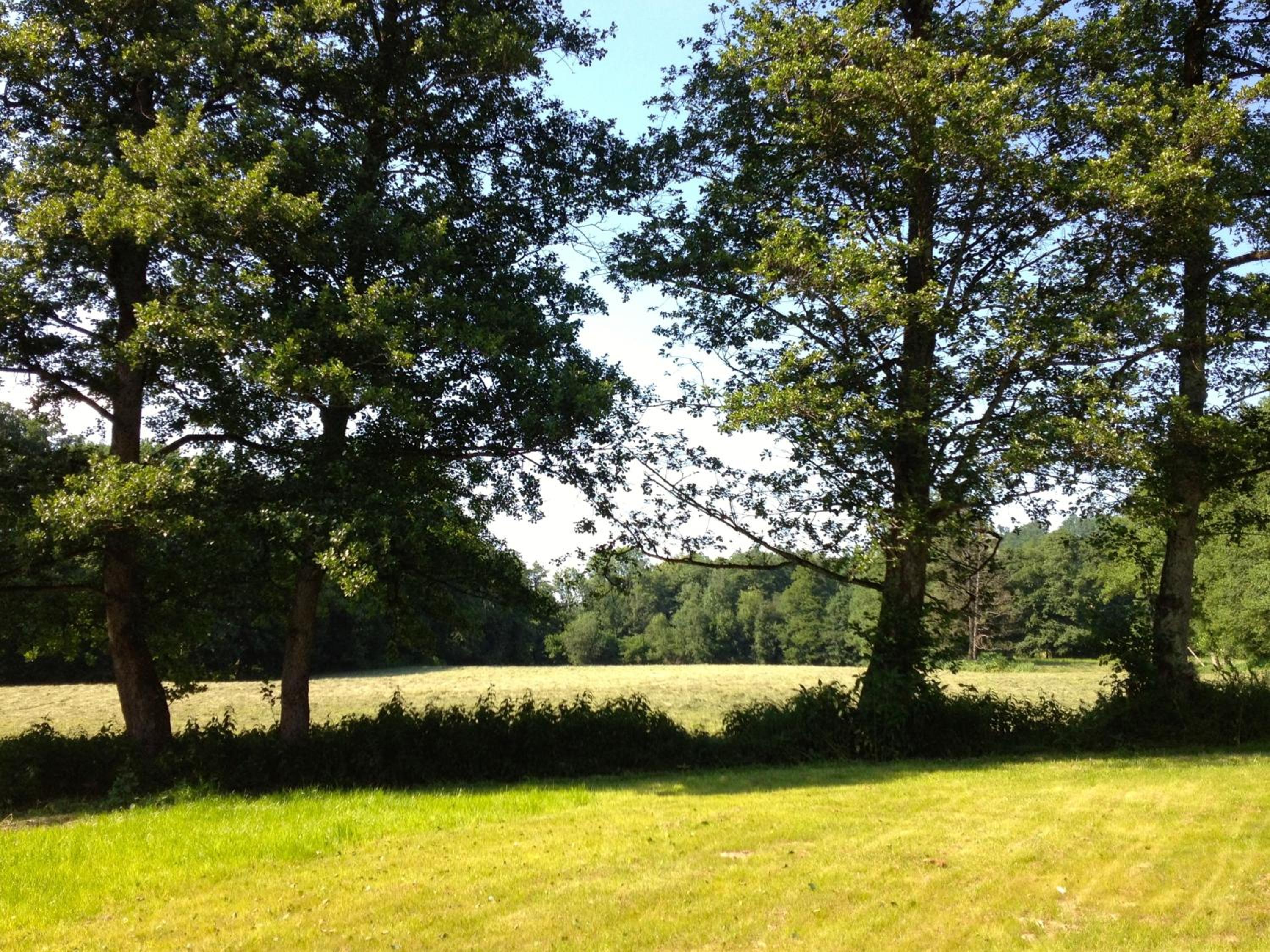 Goldschmiedsmühle
