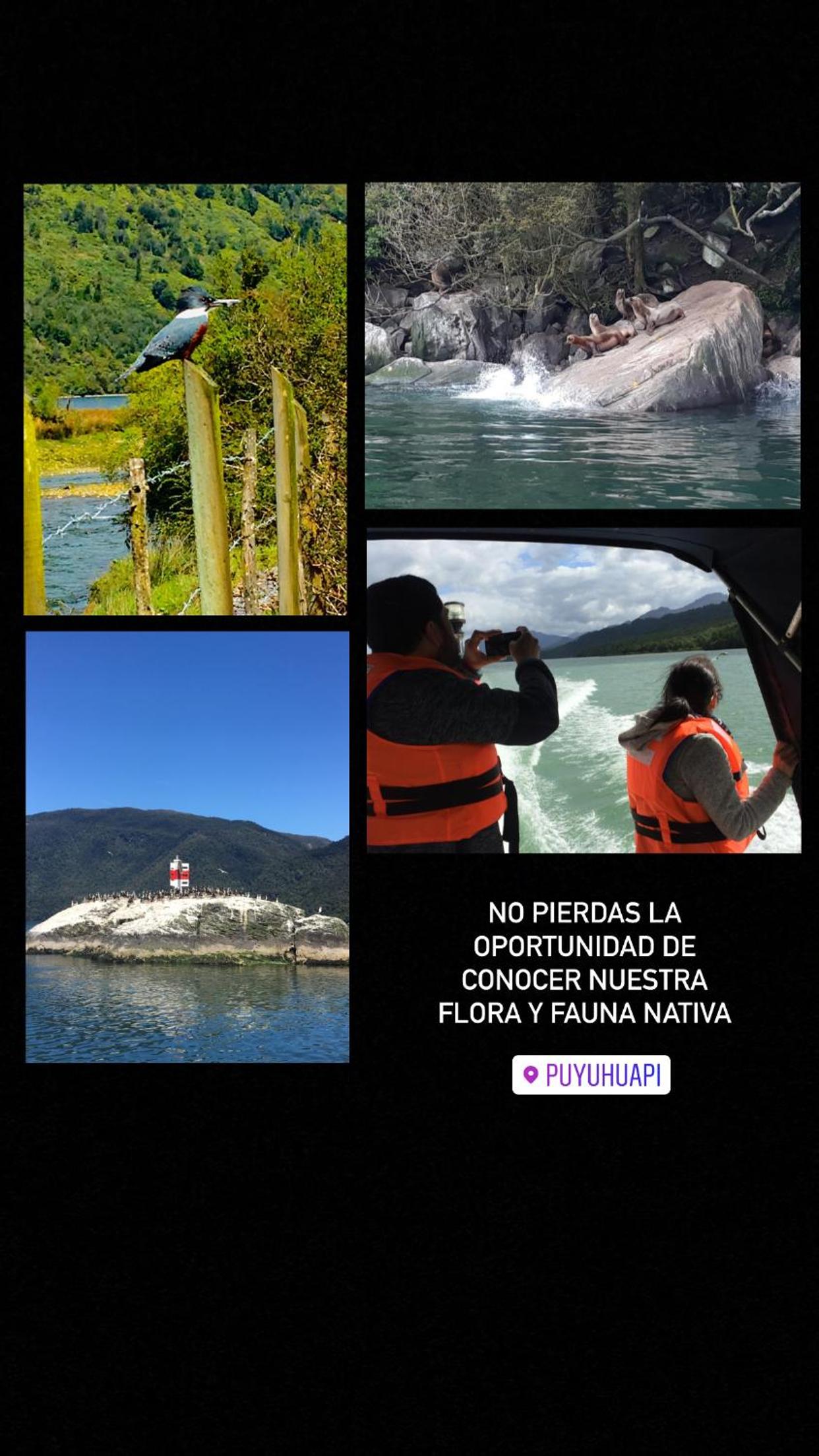 Cabaña Rossbach Puyuhuapi