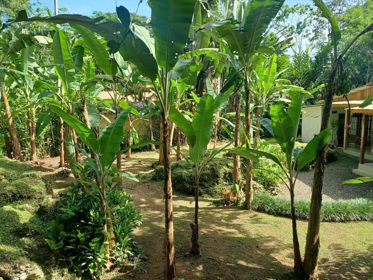 Casa Lucas