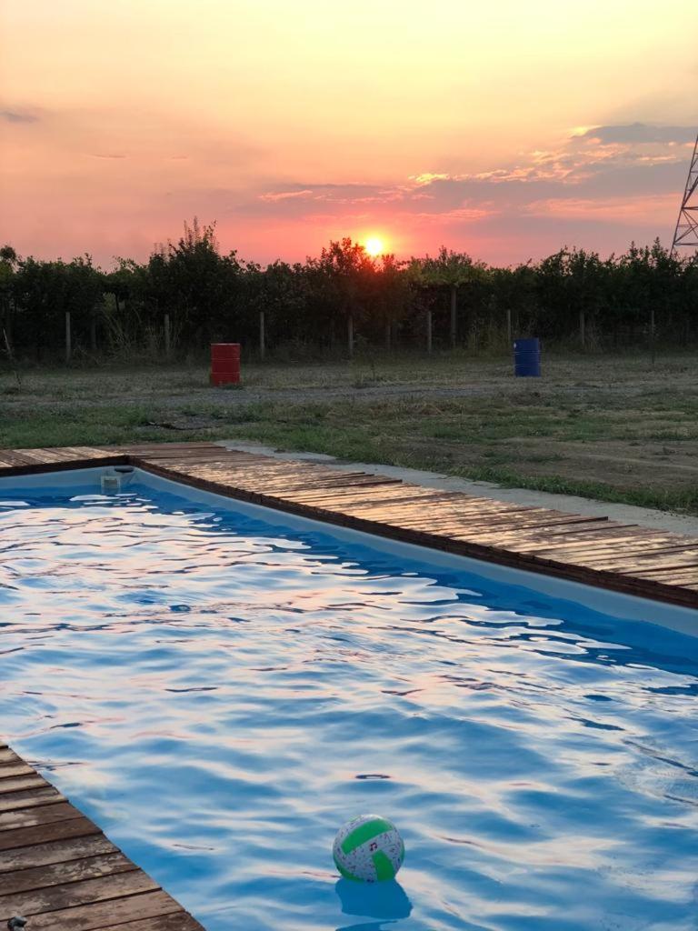 Agri Camping italiano - Eucalyptus