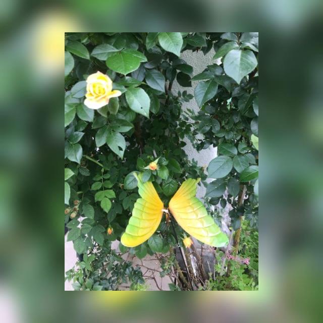 Photo 34