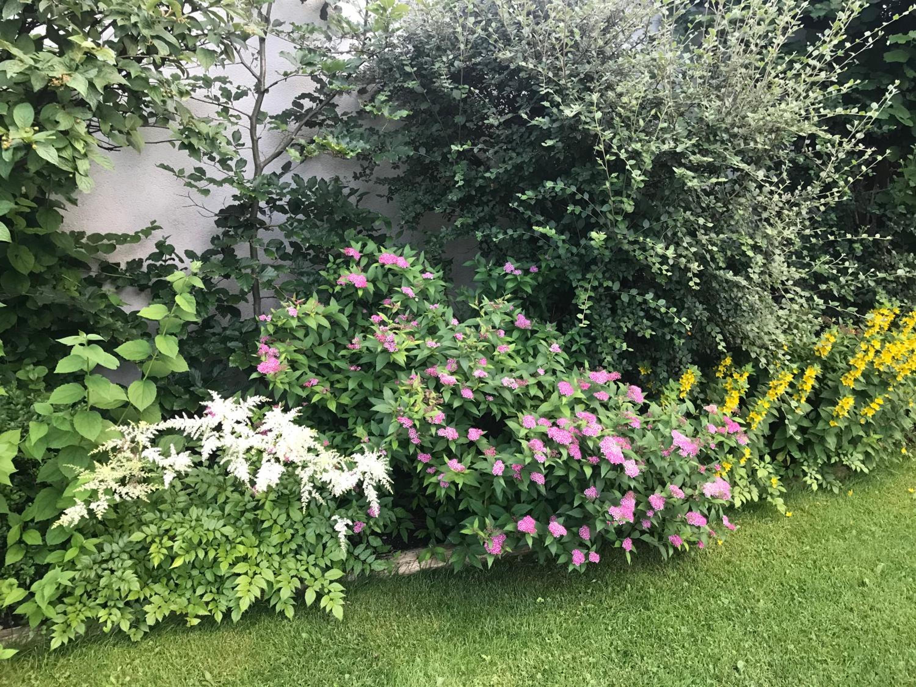 Photo 36
