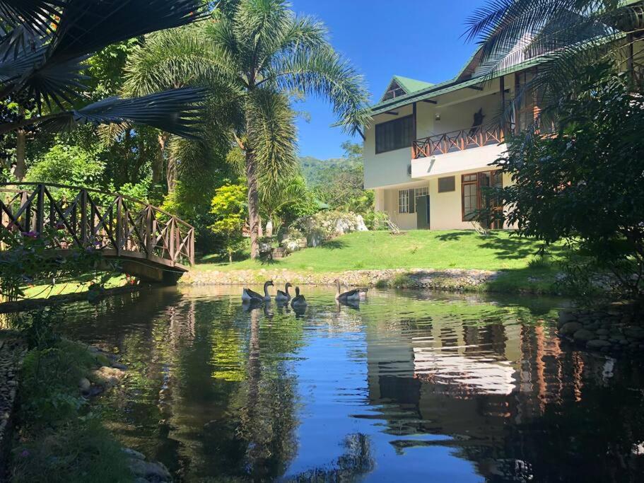Malía Casa Campo