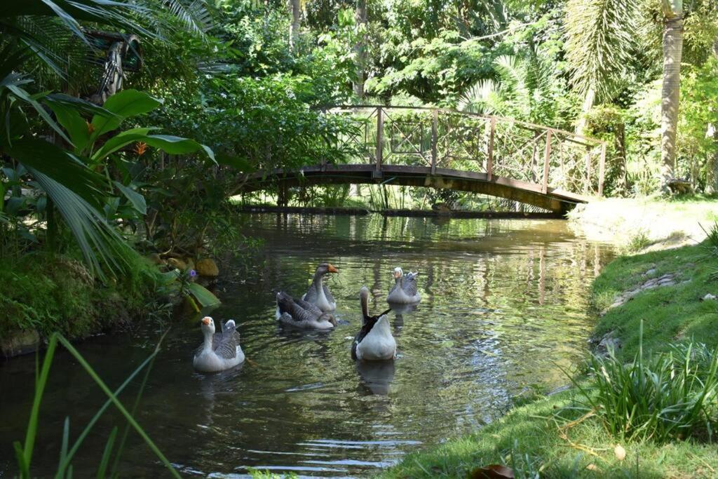 Malía Casa Campo
