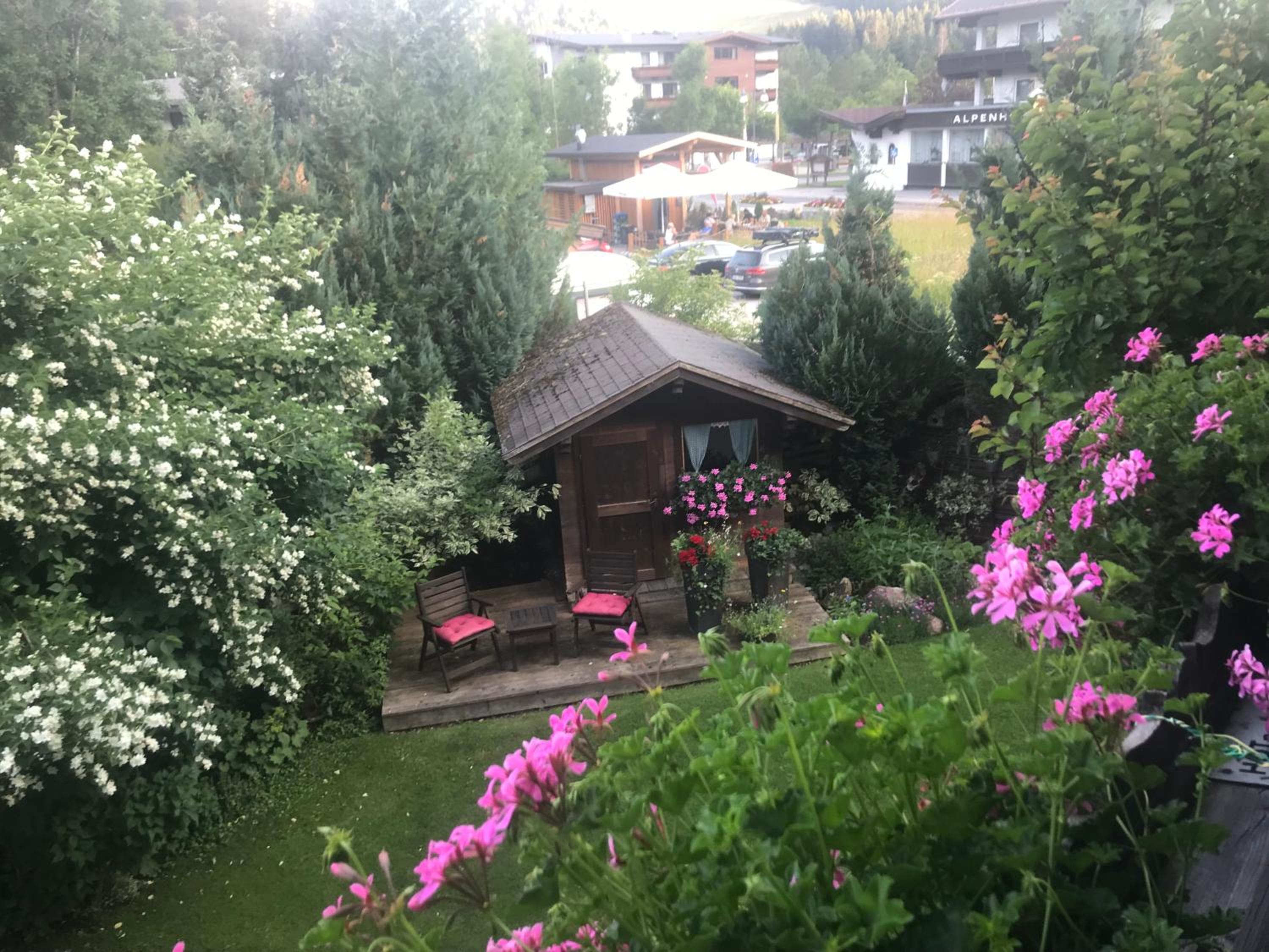 Photo 41
