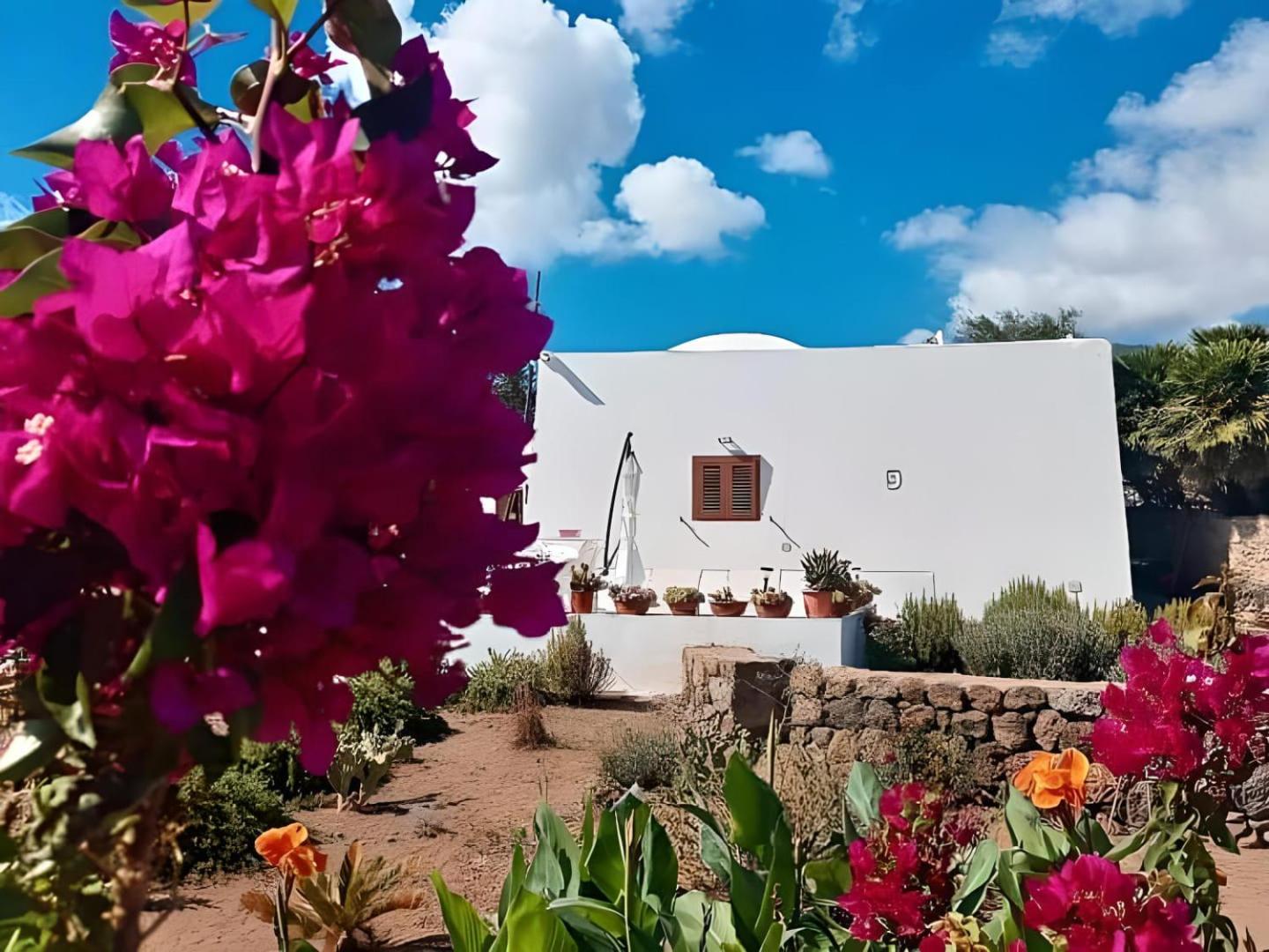 Dammuso Pantelleria - Fiori D'Ossidiana