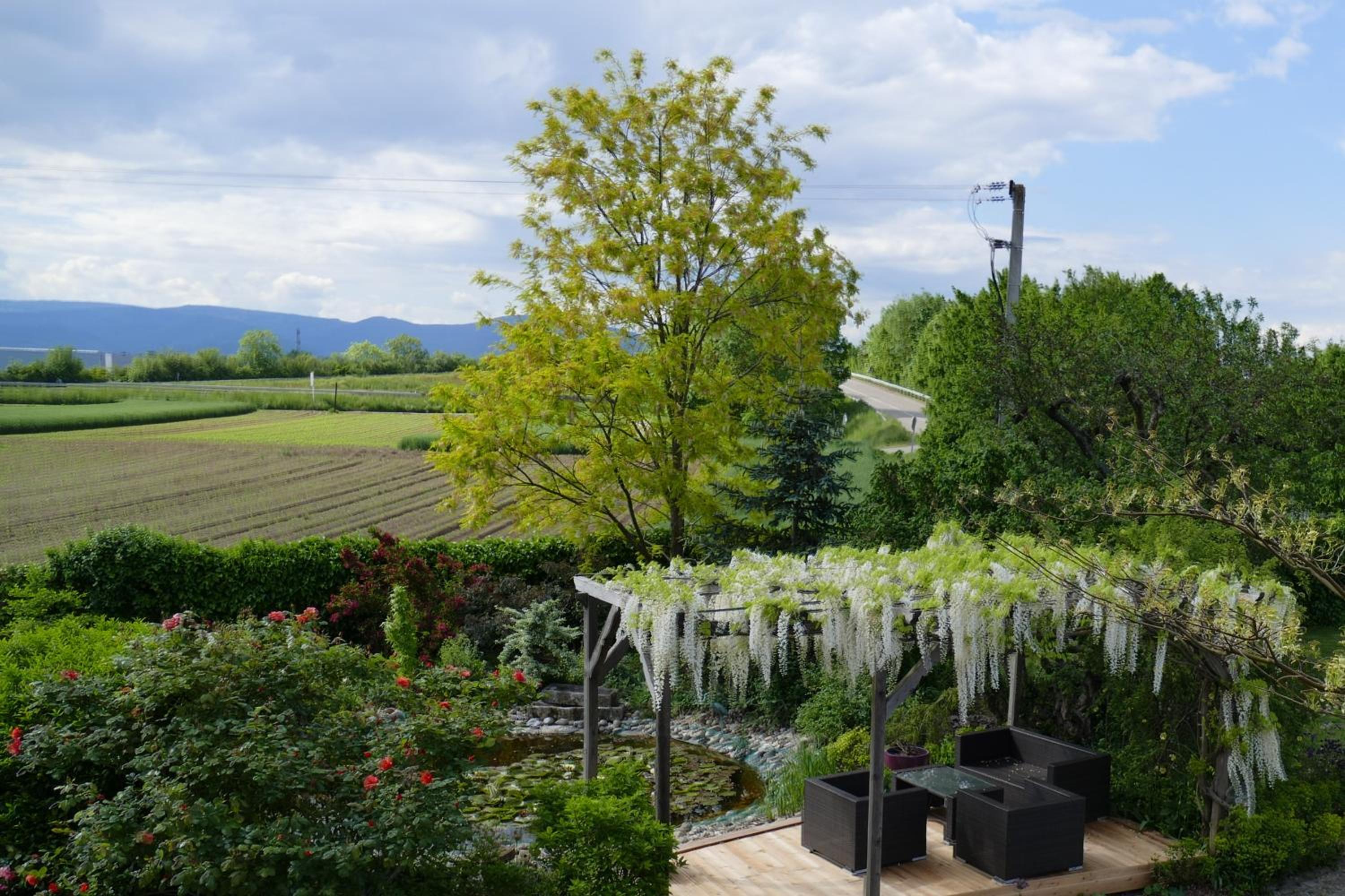 outdoor BBQ area