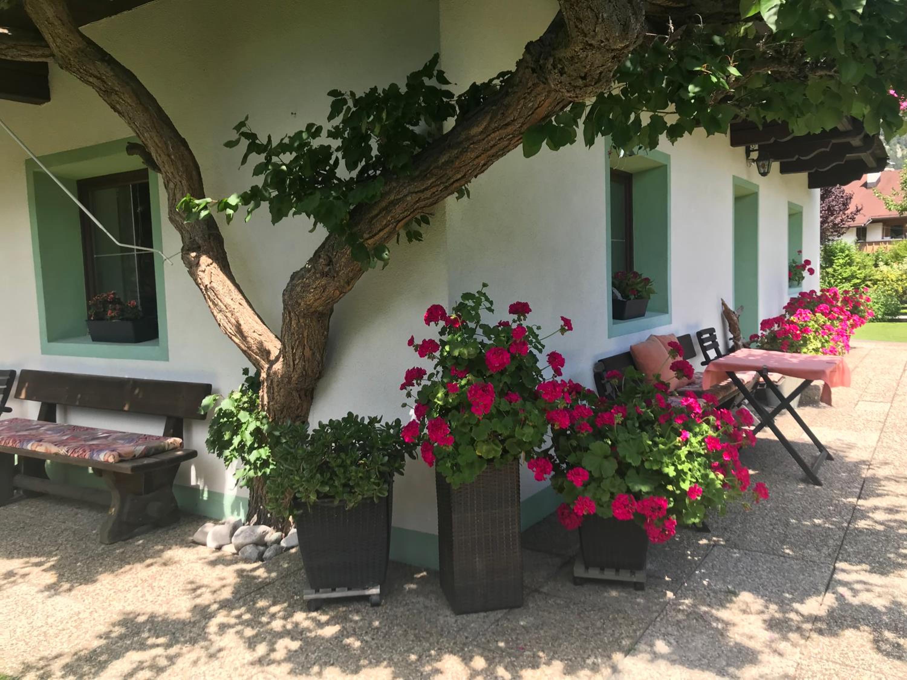 Haus Hoher Sattel view 3