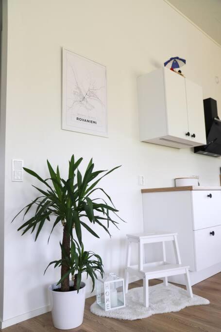Big apartment, near Santaclaus Village
