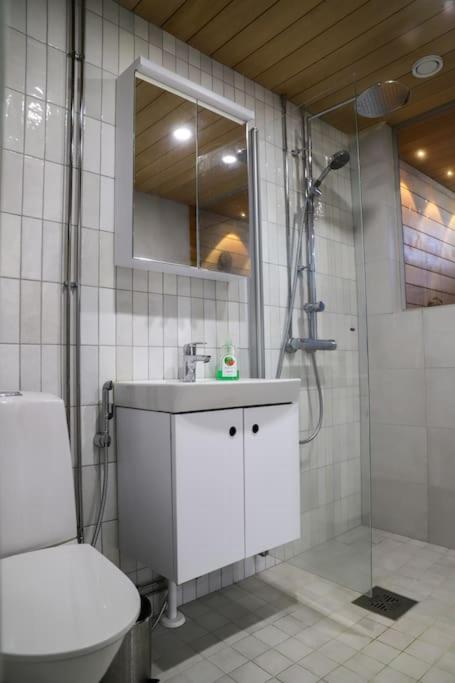 Big apartment, near Santaclaus Village