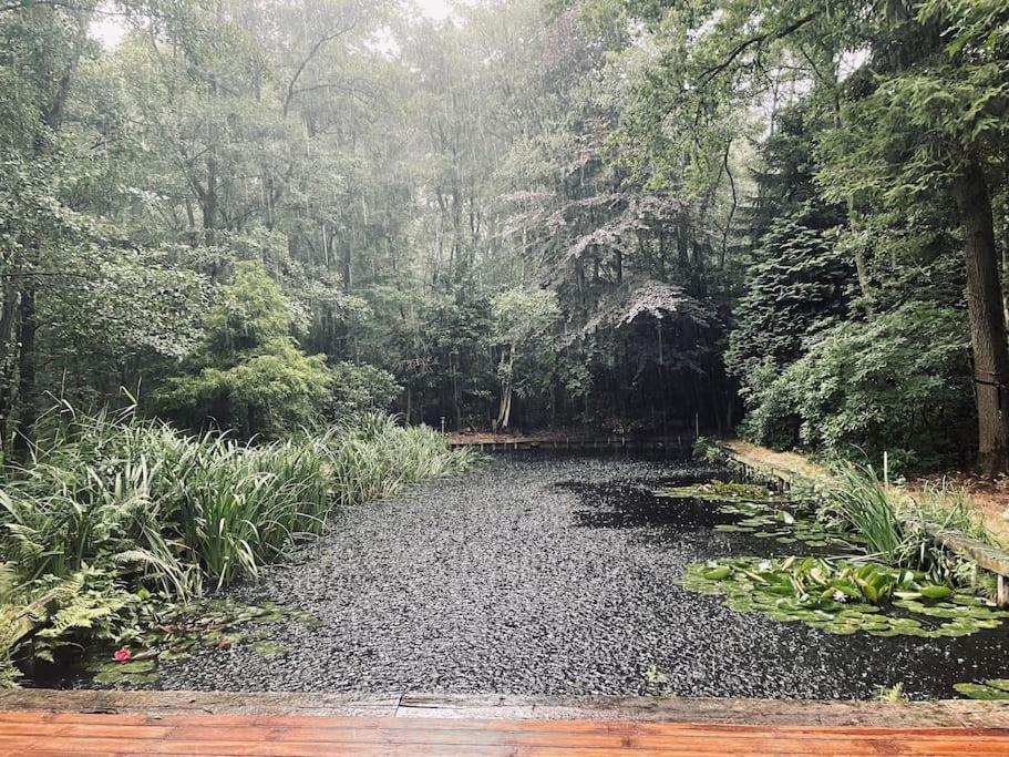 Prachtige chalet in het bos met sauna!