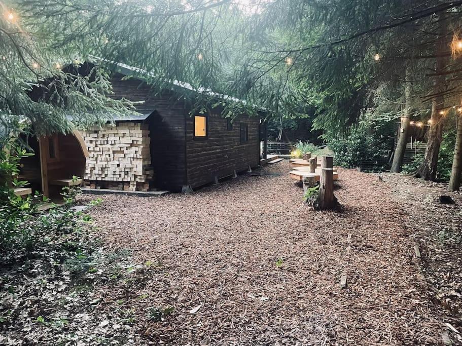 Prachtige chalet in het bos met sauna!