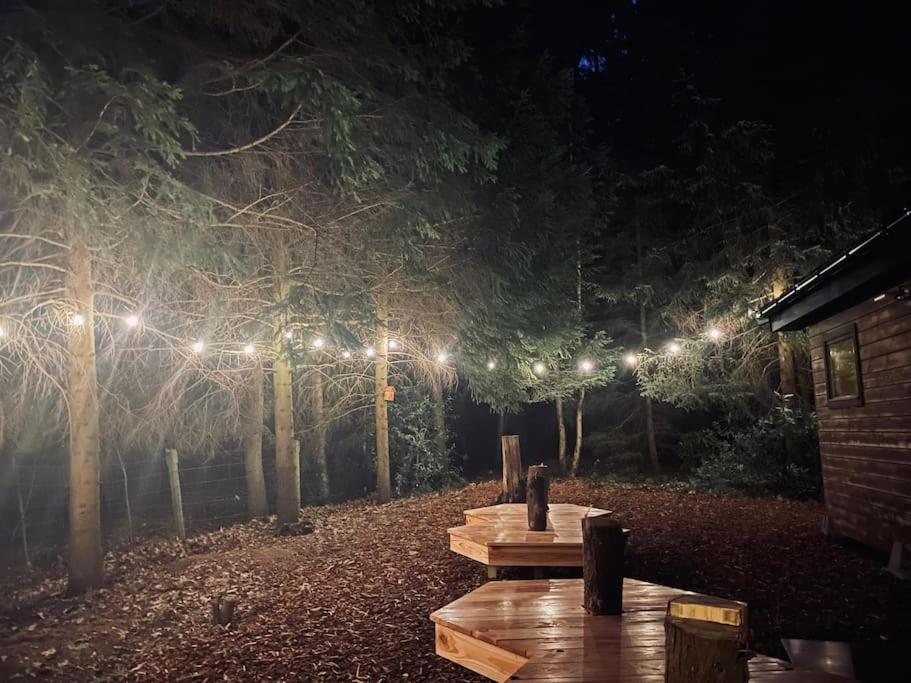 Prachtige chalet in het bos met sauna!