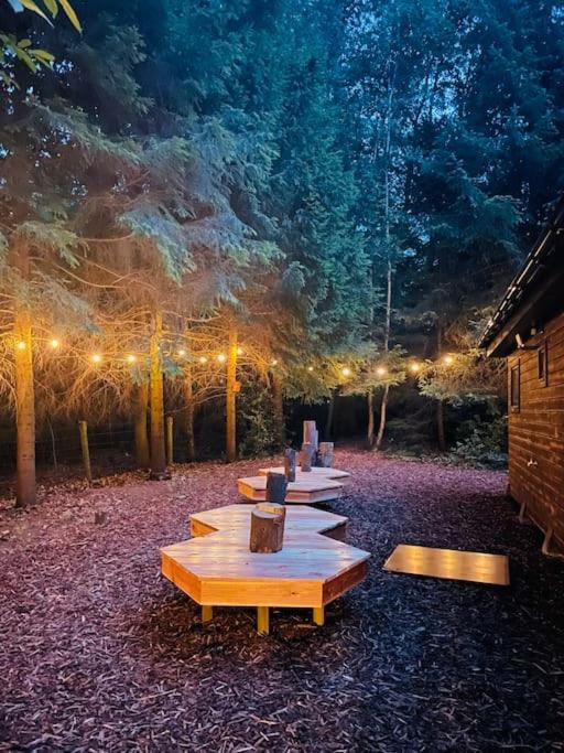 Prachtige chalet in het bos met sauna!