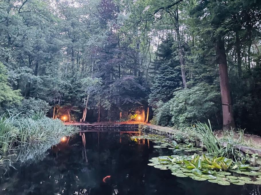 Prachtige chalet in het bos met sauna!