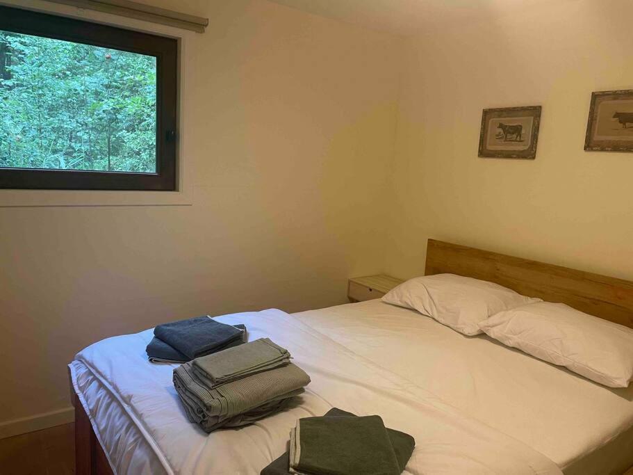 Prachtige chalet in het bos met sauna!