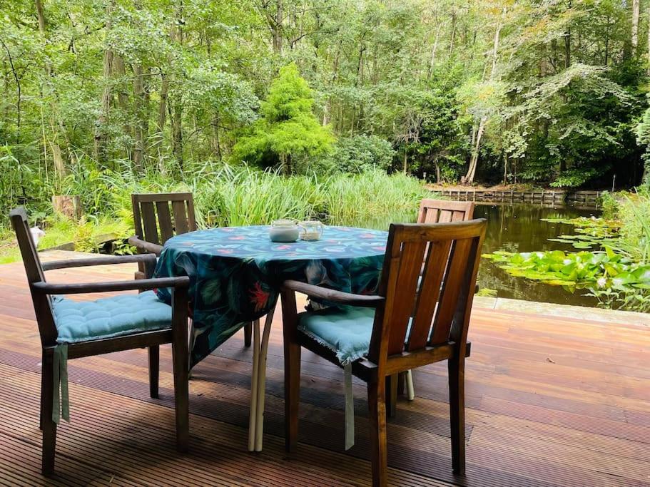 Prachtige chalet in het bos met sauna!