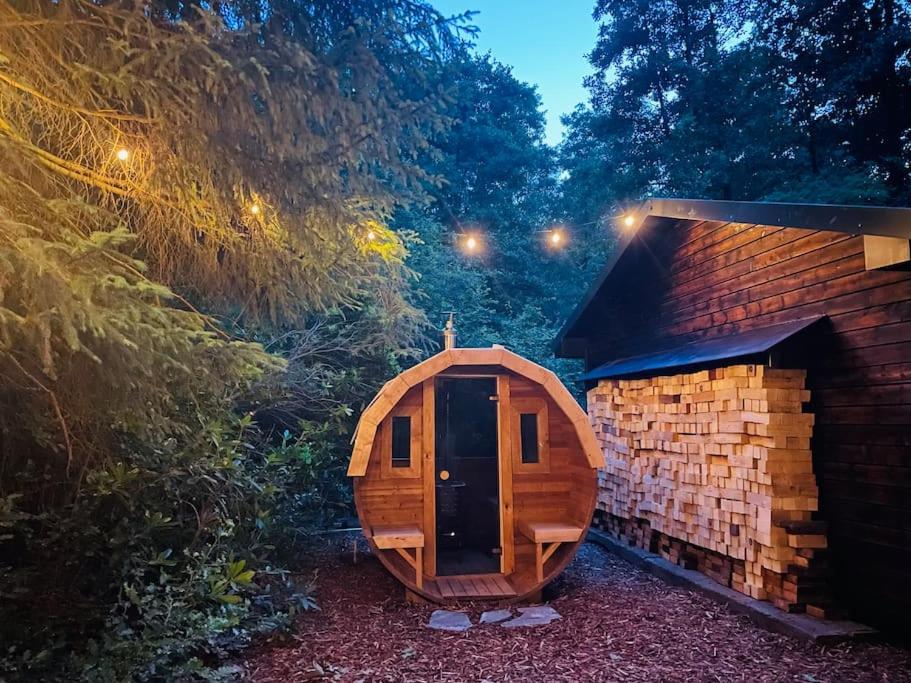 Prachtige chalet in het bos met sauna!