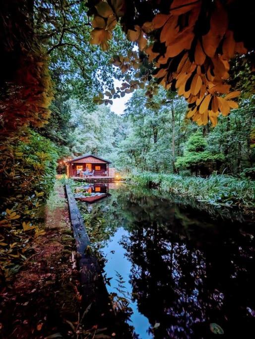 Prachtige chalet in het bos met sauna!