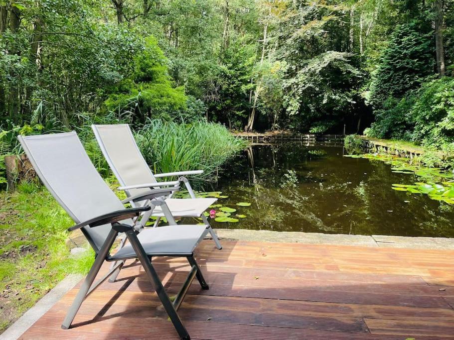 Prachtige chalet in het bos met sauna!
