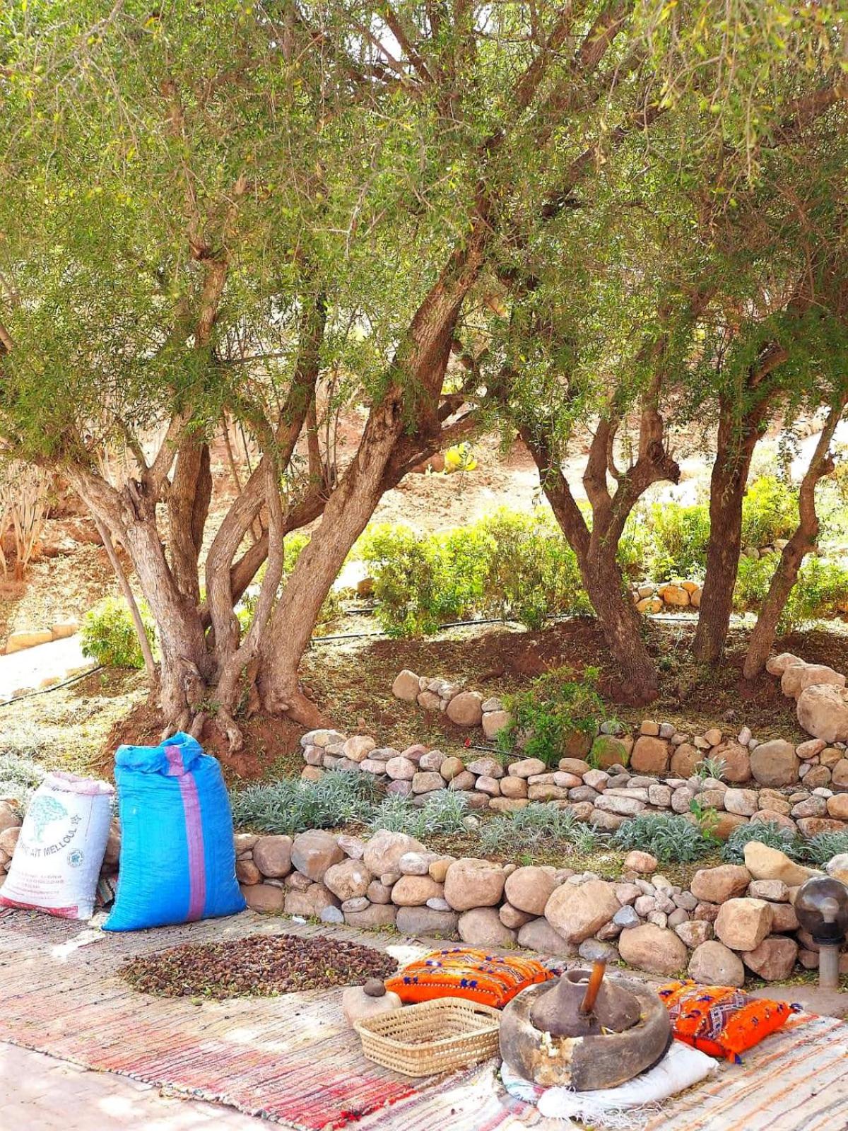Paradis Nomade