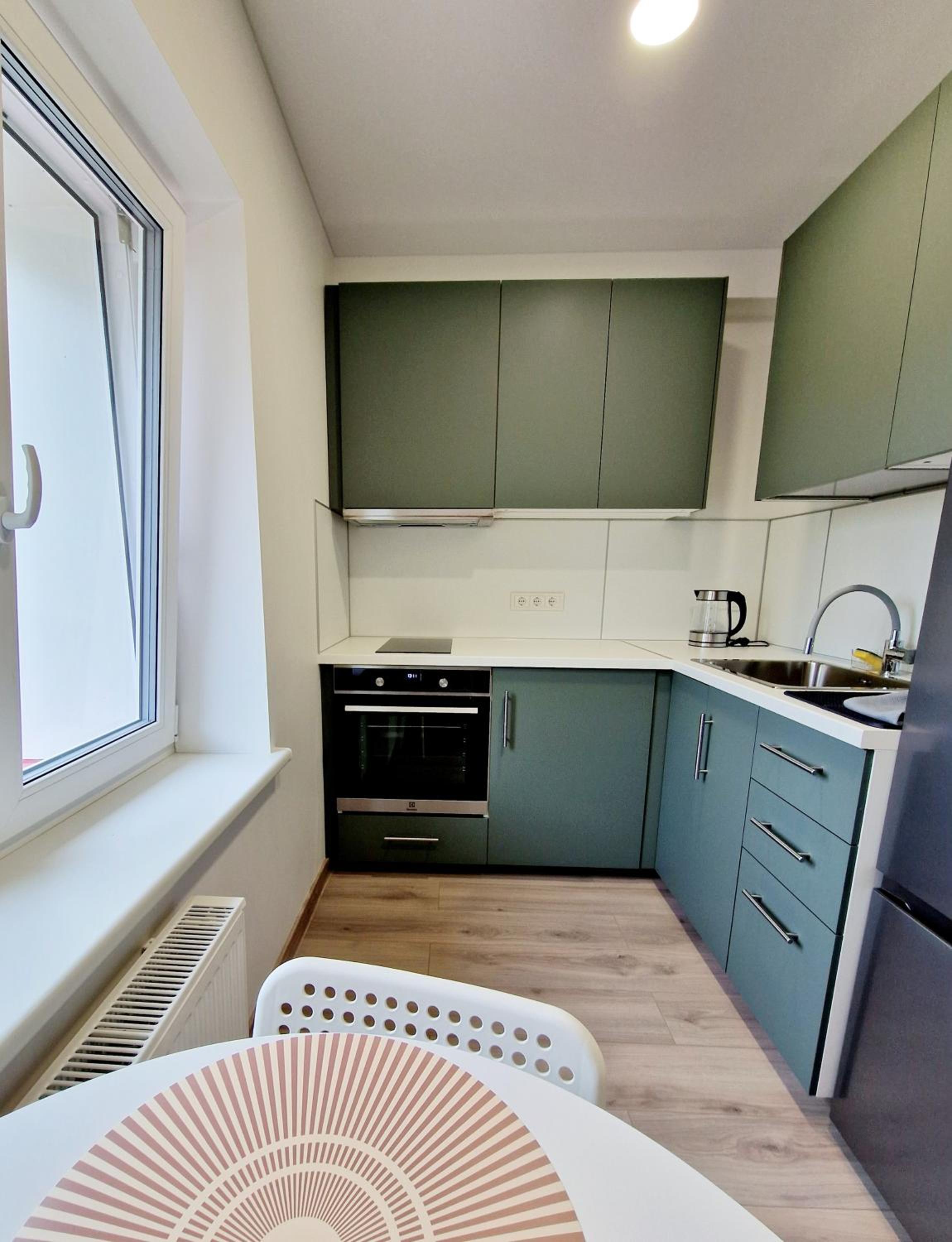 Apartments in Lazdijai view 4