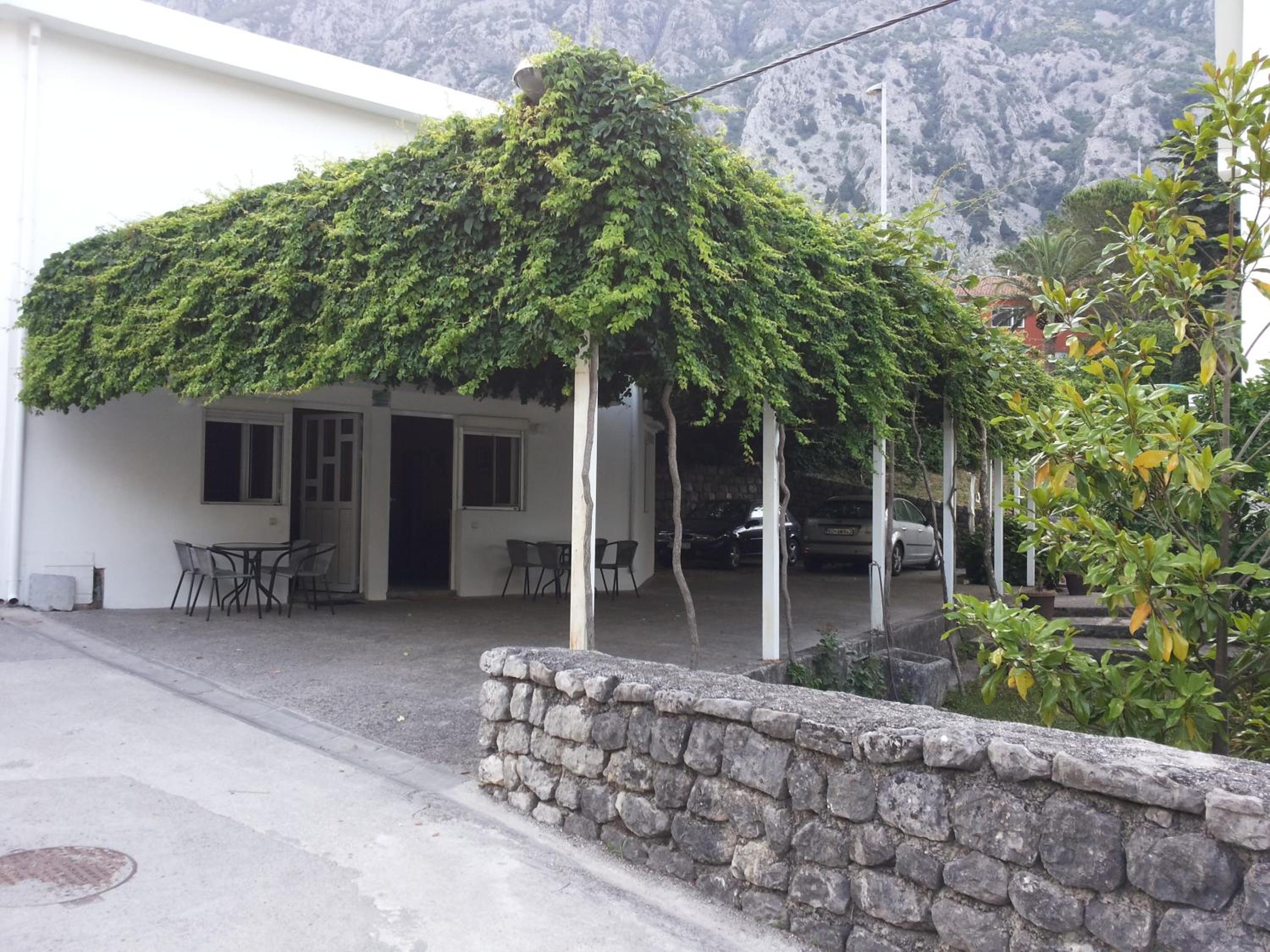 Photo 44