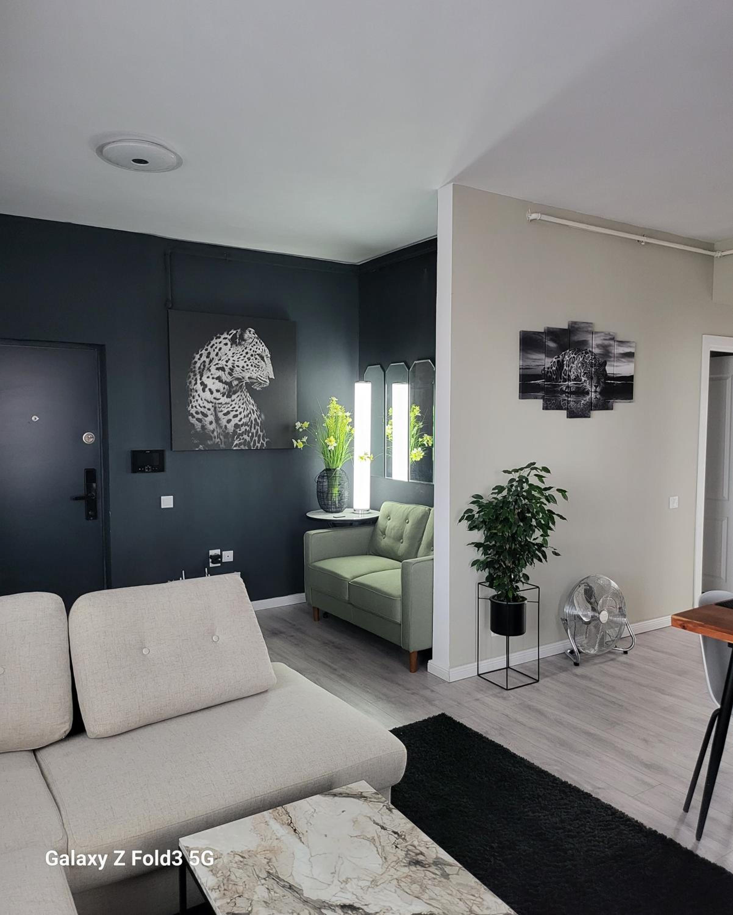 David’s place