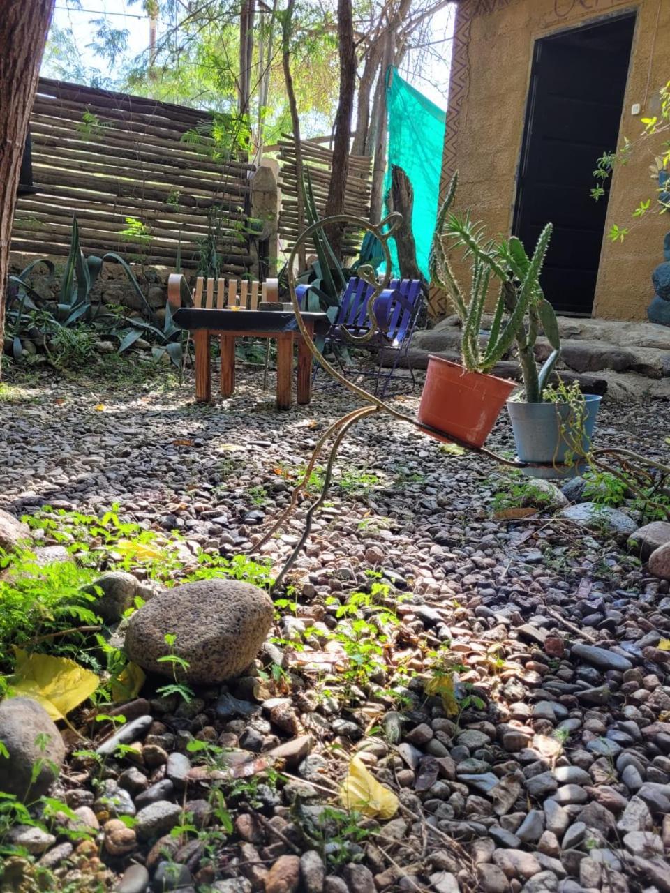 Cabañas de Montaña Rio Amarillo
