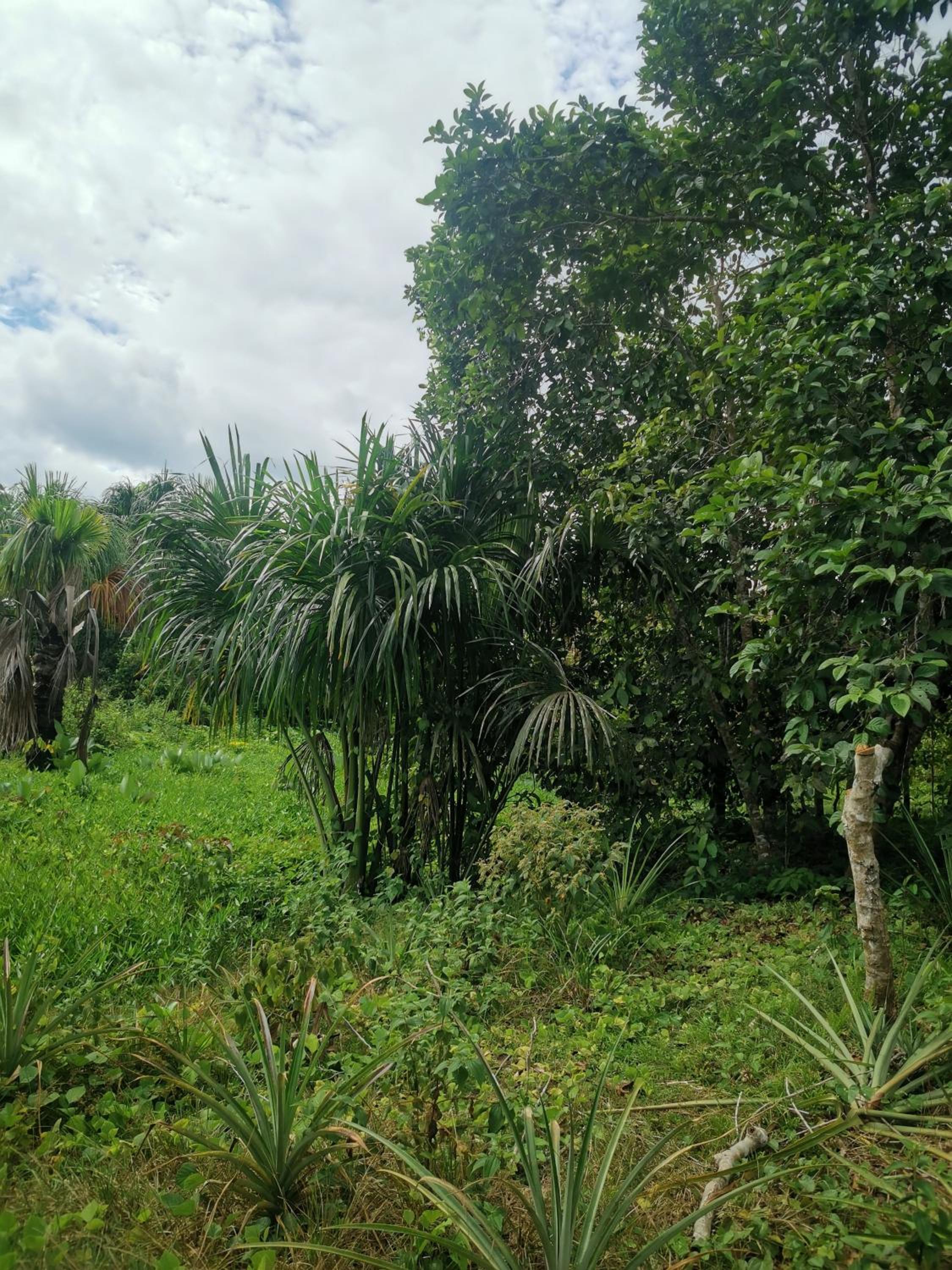 Photo 25
