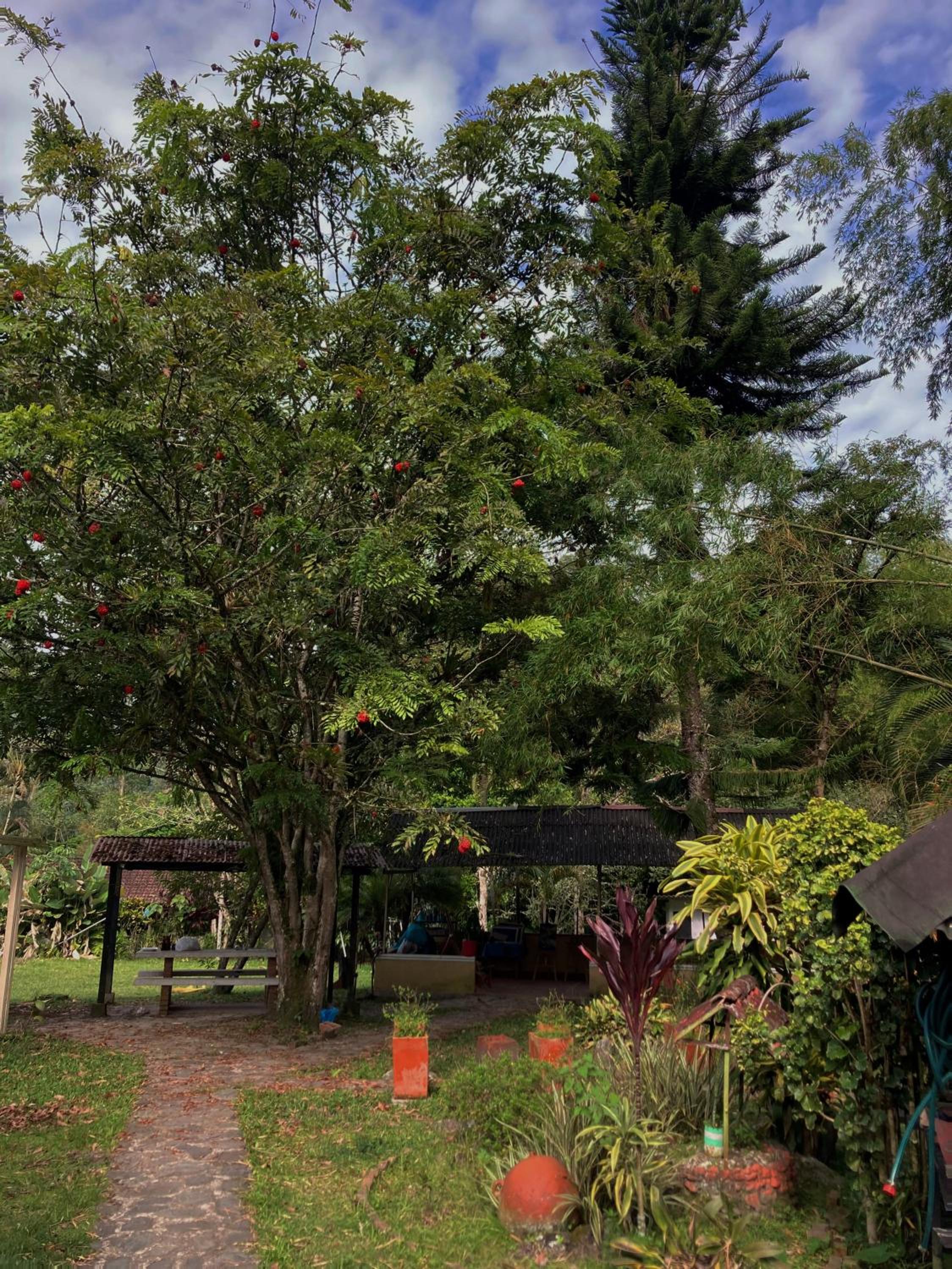 Bahareque Hostal