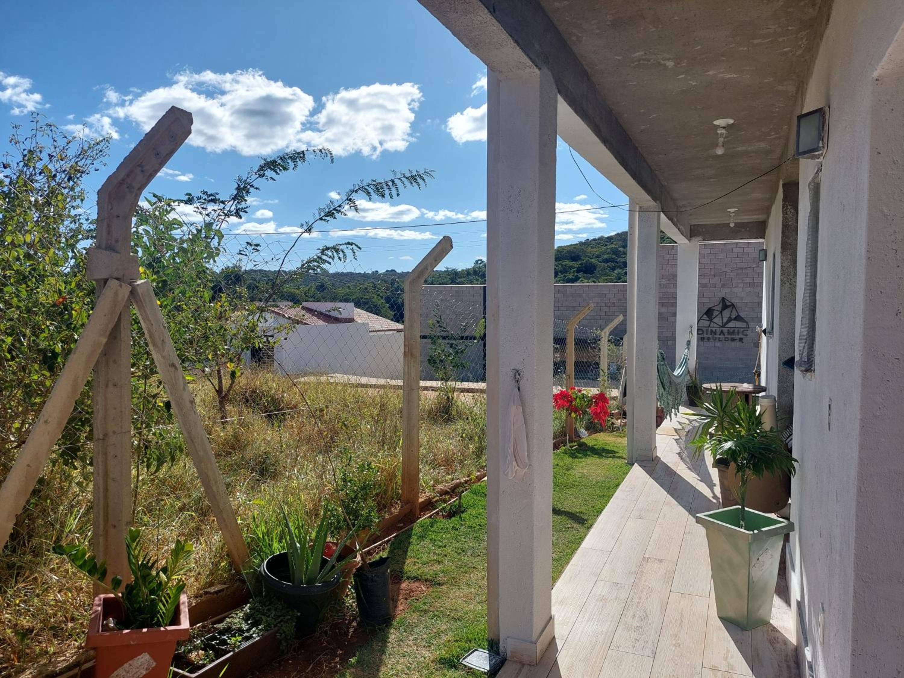 Águia Serra do cipó-Fiote