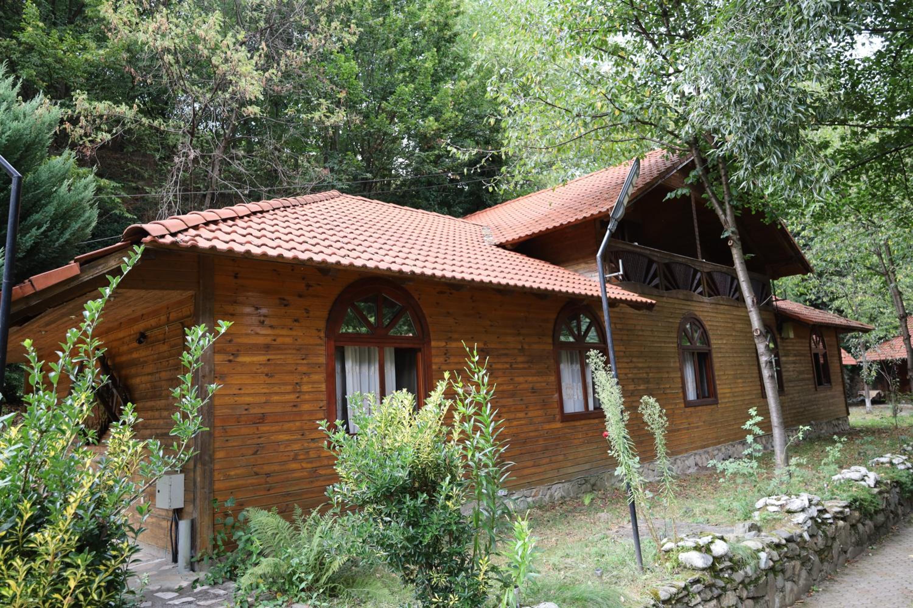 Photo 40